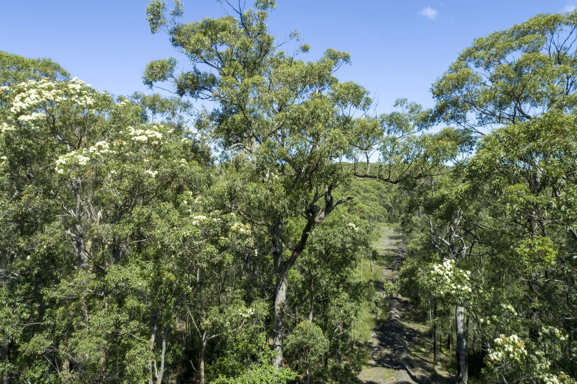 WEB 2 Parnell Rd Tomerong-47.jpg