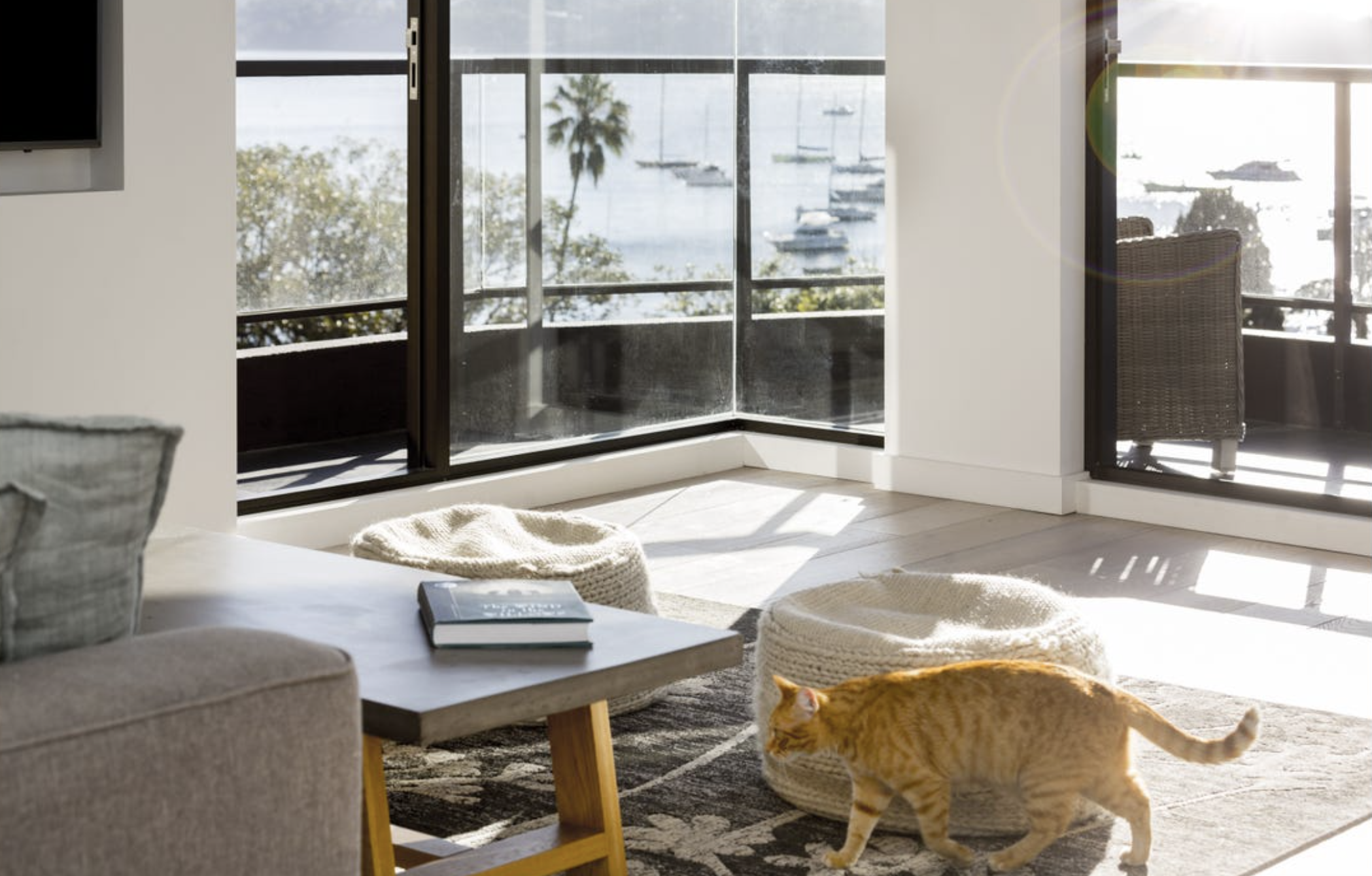 Screenshot 2026-01-16 at 10.19.05 am.png