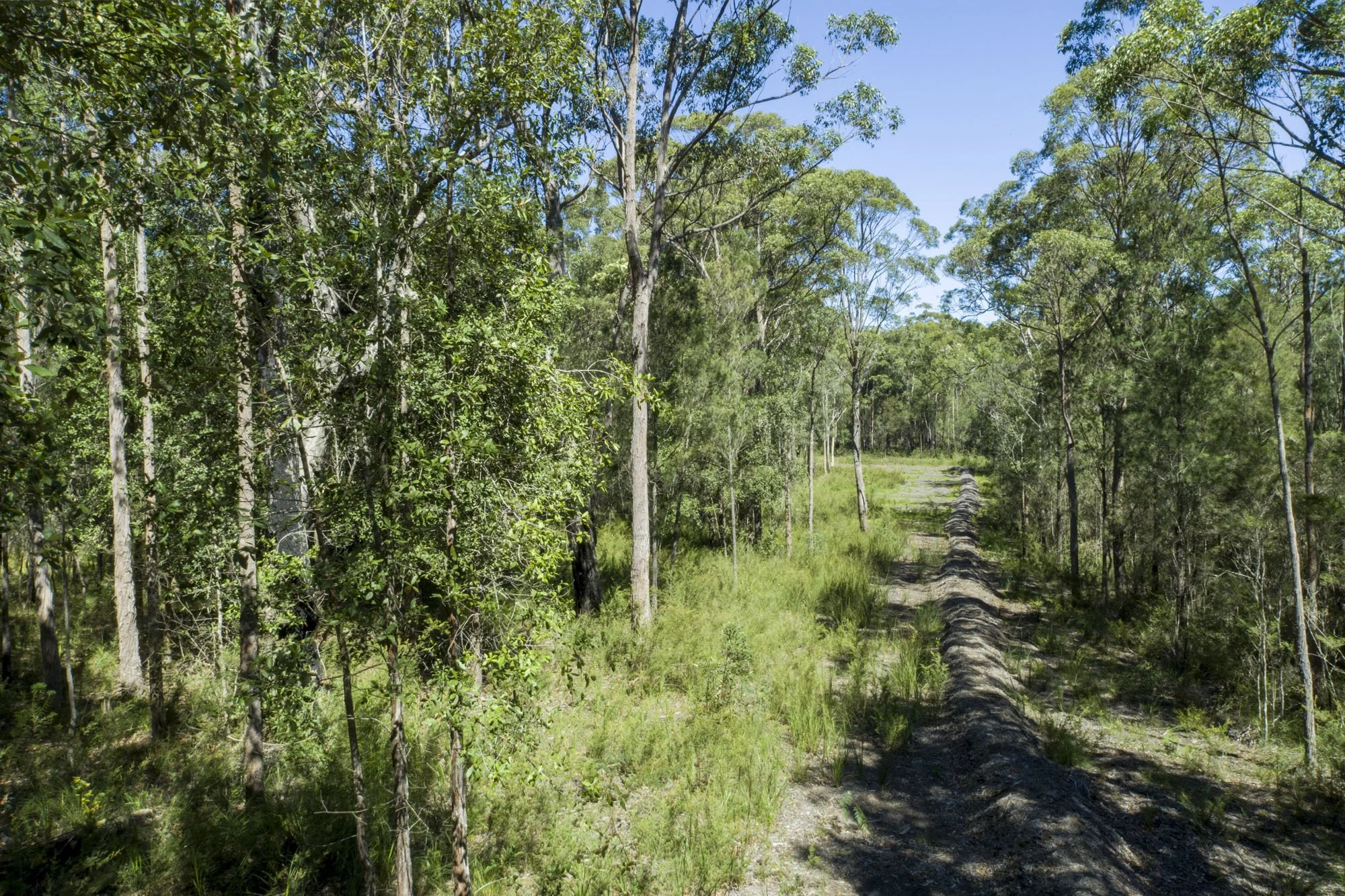 WEB 2 Parnell Rd Tomerong-46.jpg