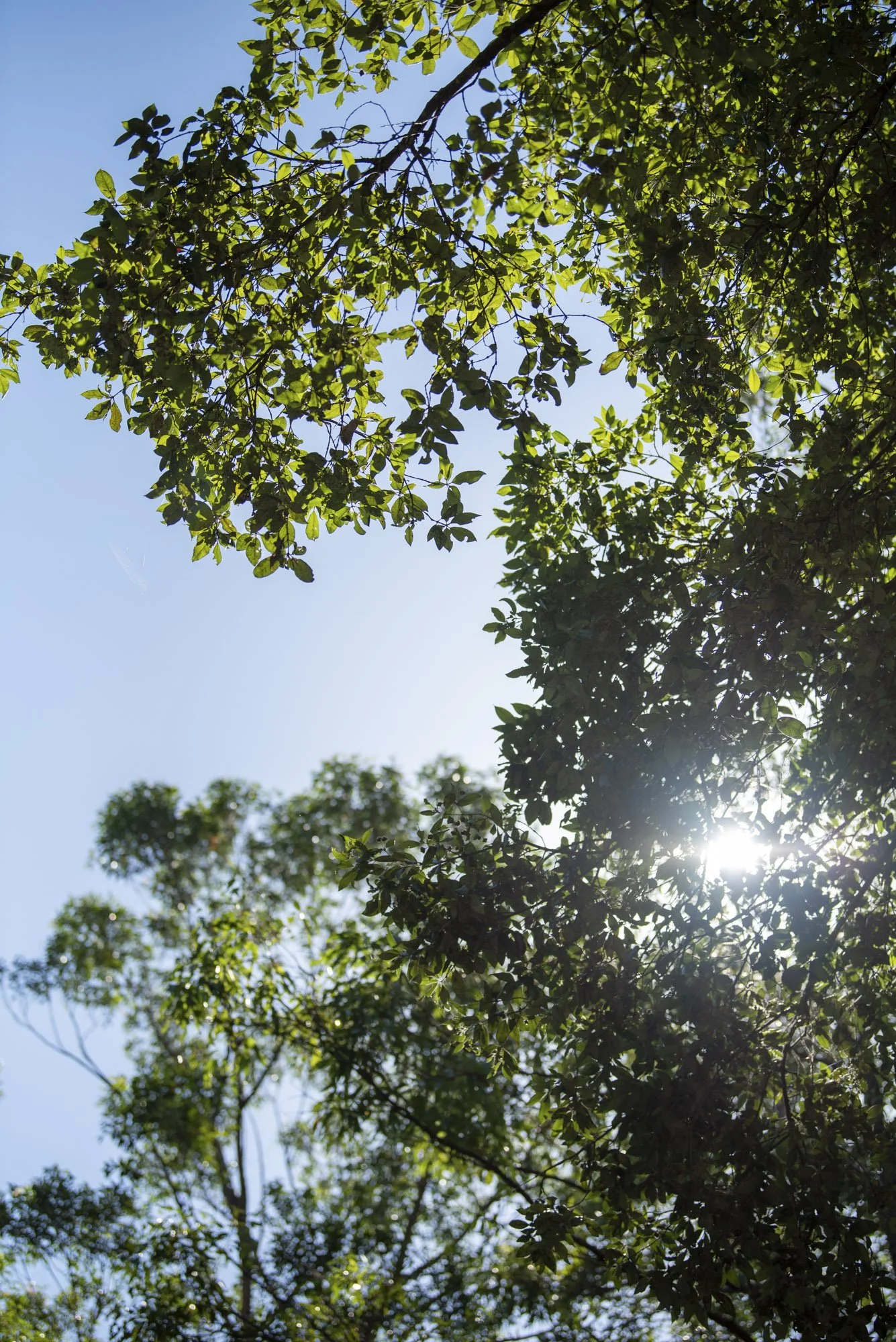 WEB 2 Parnell Rd Tomerong-5.jpg