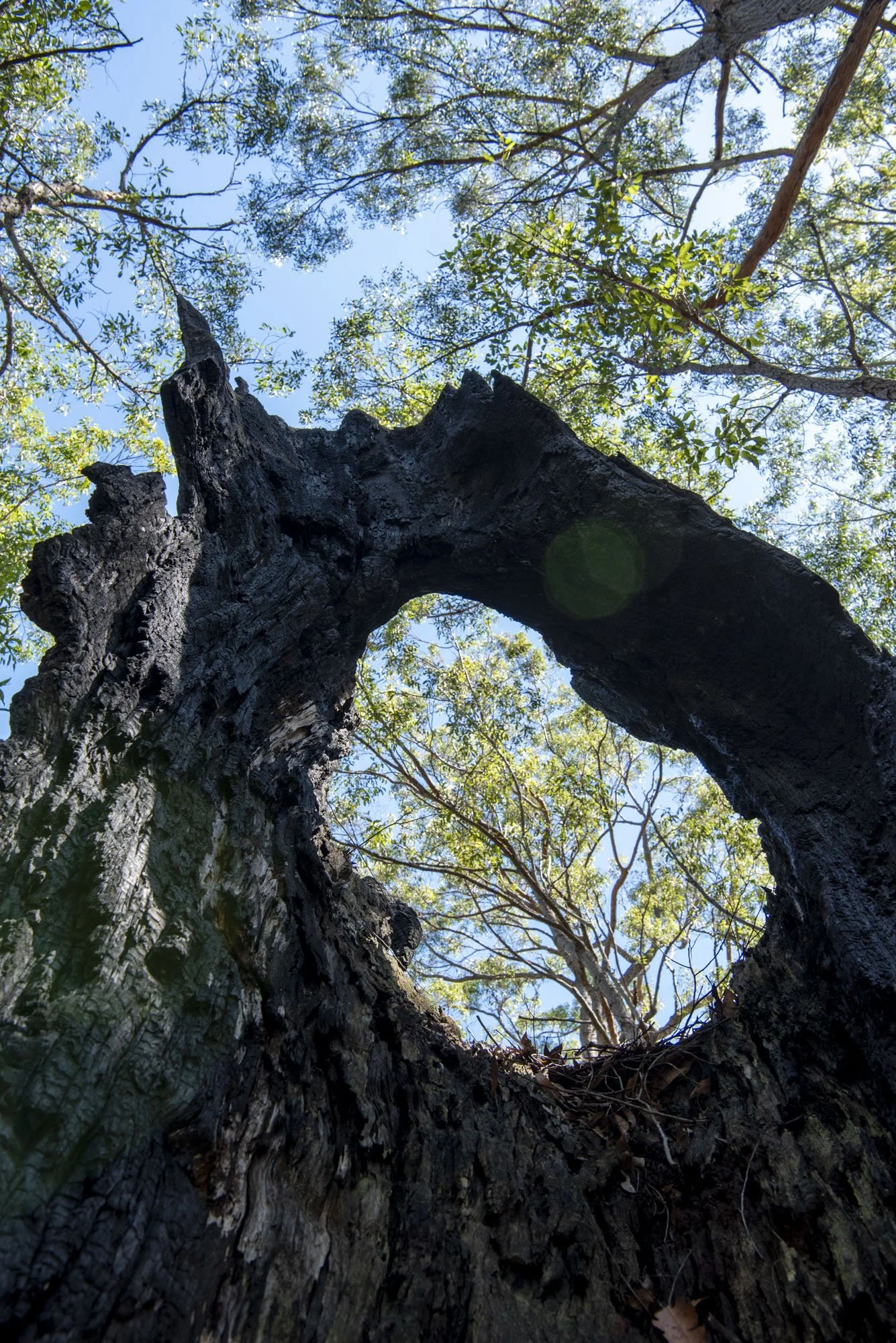 WEB 2 Parnell Rd Tomerong-24.jpg