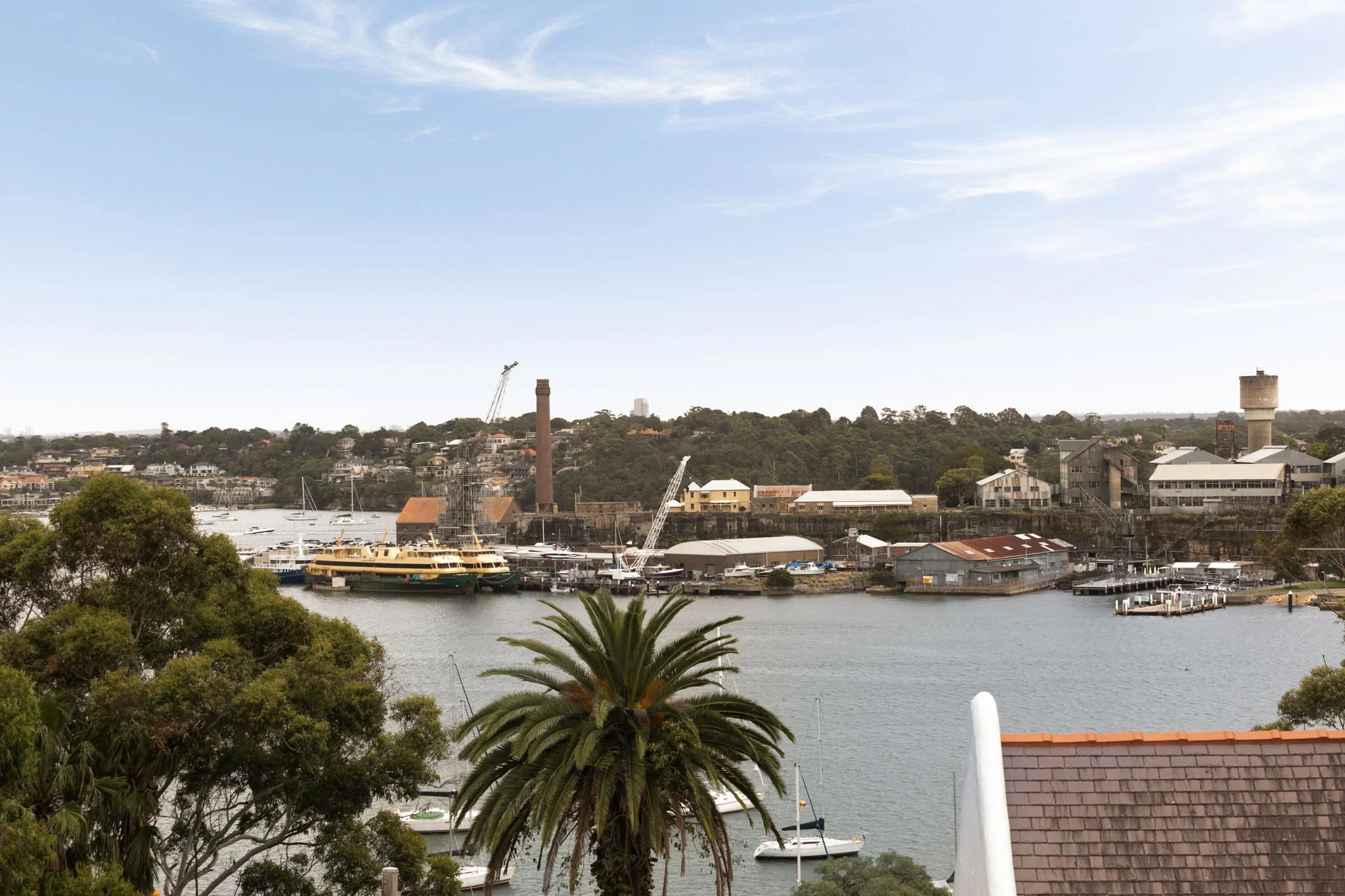 41 Glassop St, Balmain_10.jpg