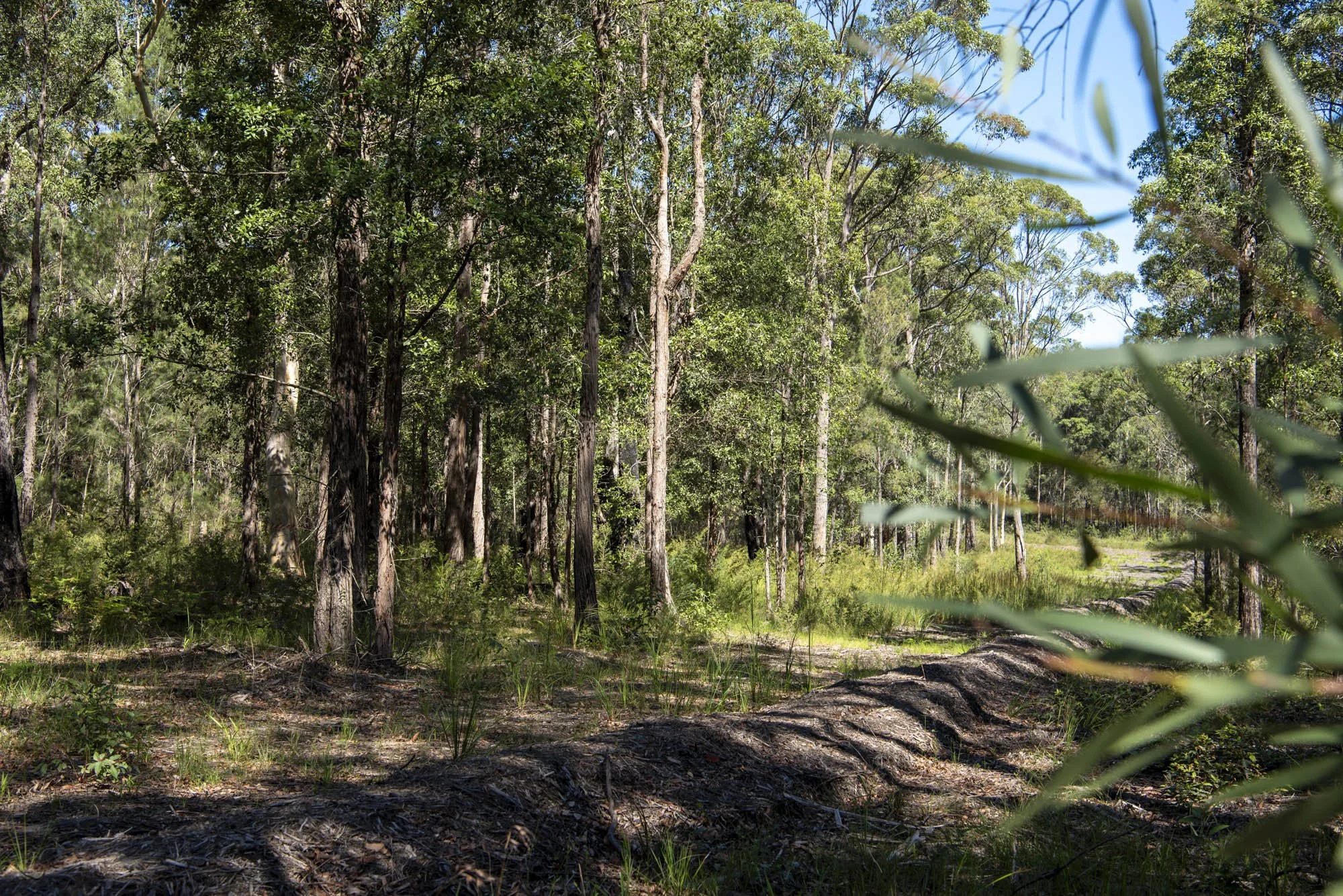 WEB 2 Parnell Rd Tomerong-17.jpg