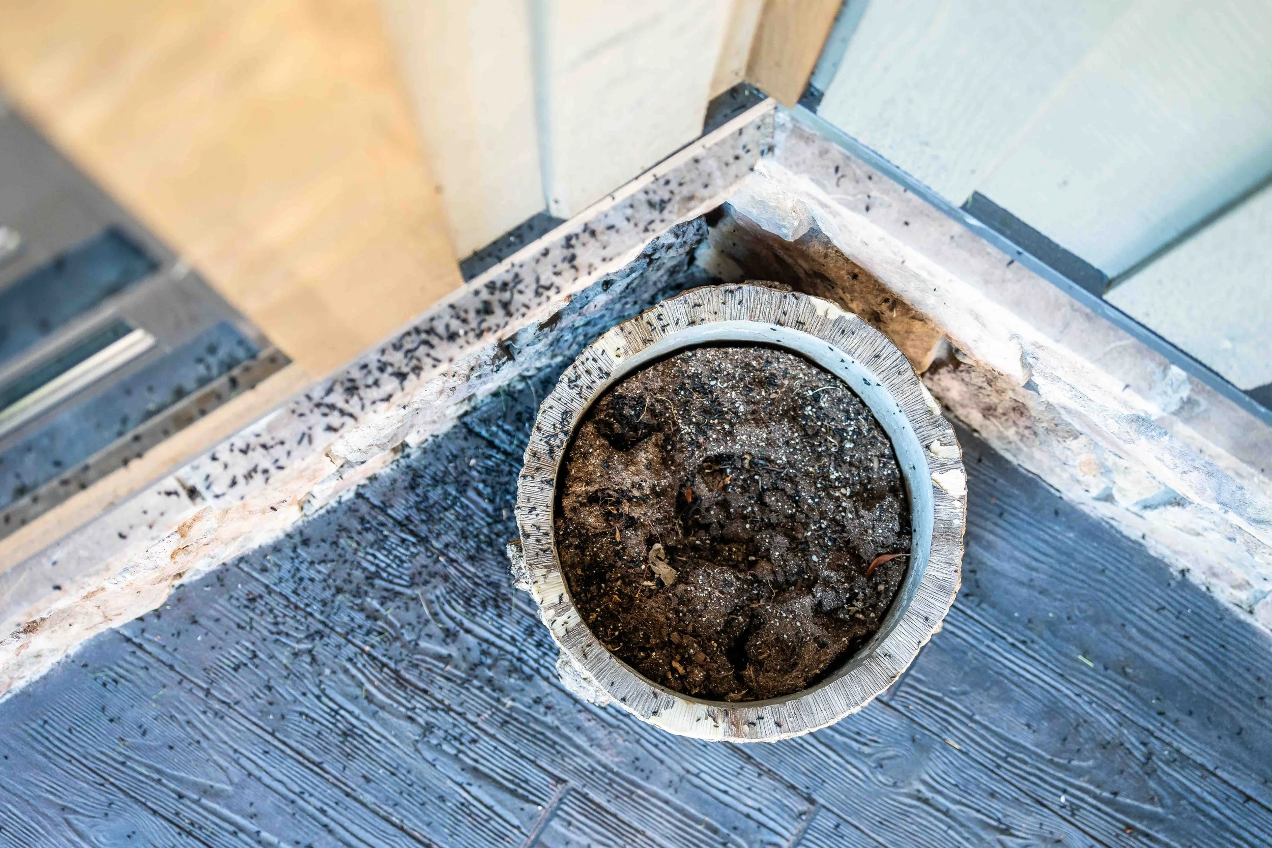 The floor of a patio covered in Bat Guano from a bat colony.