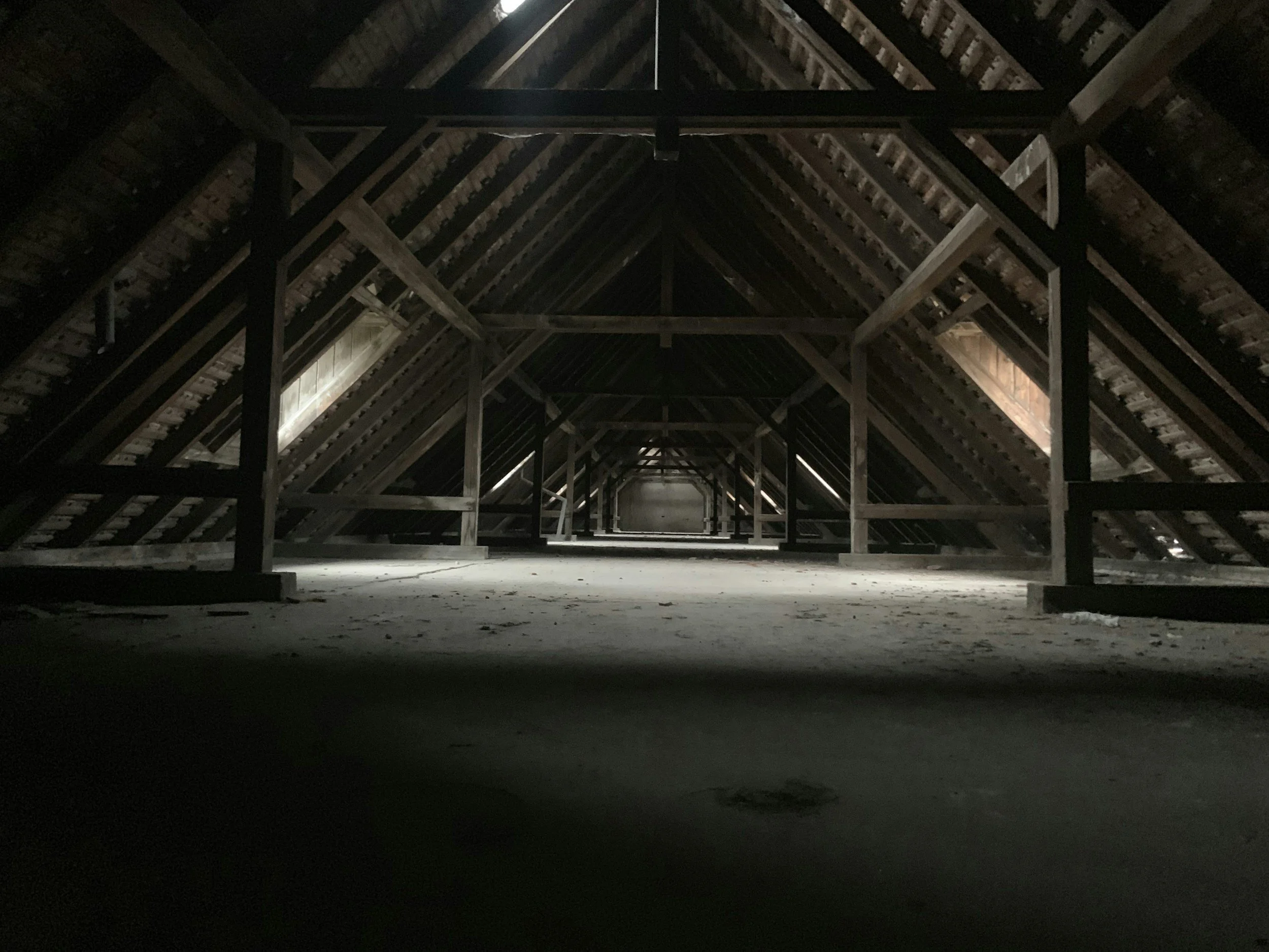 Are Bats in Your Attic Dangerous? Separating Myth from Reality
