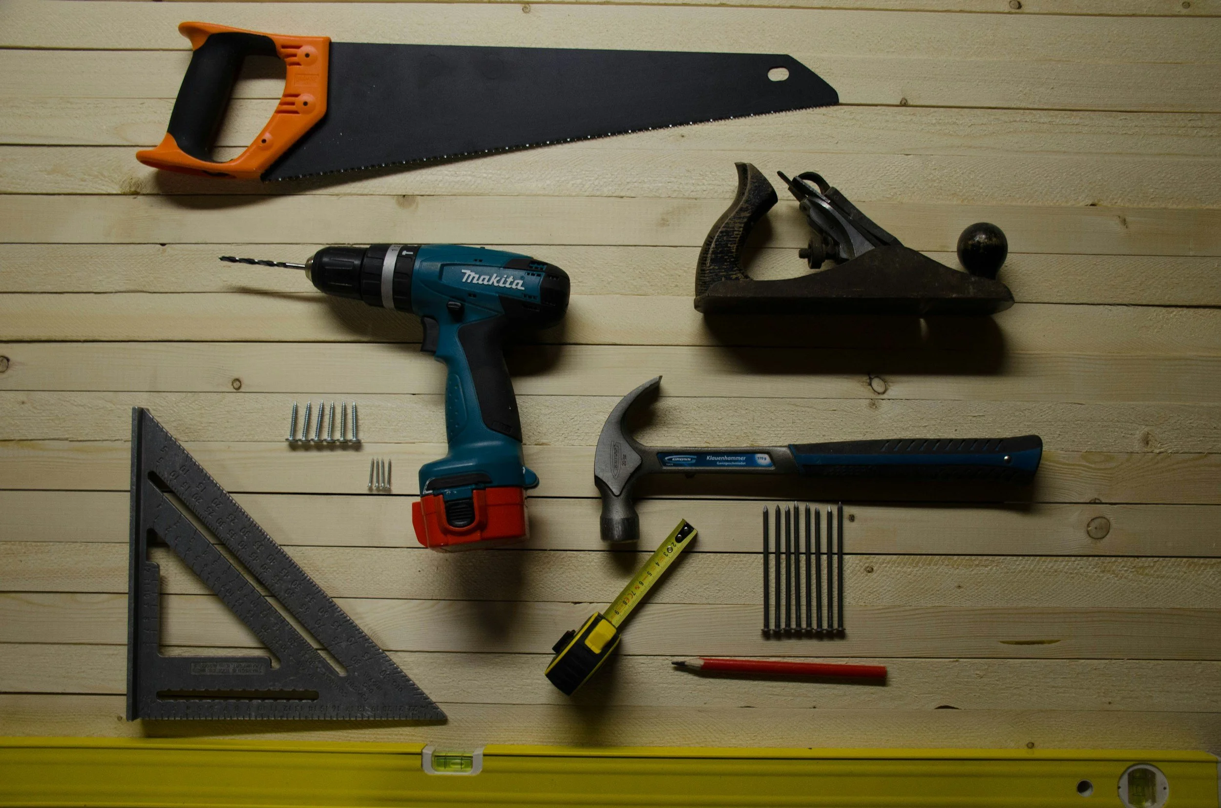 Can I Remove Bats Myself? Why Professional Help Is Essential