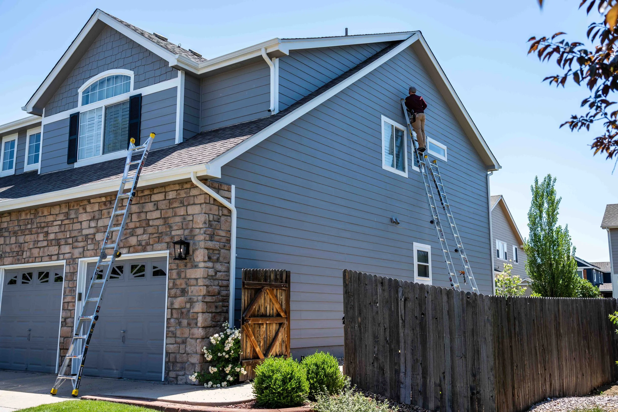 Why Bat Exclusion Is More Like Construction Than Pest Control