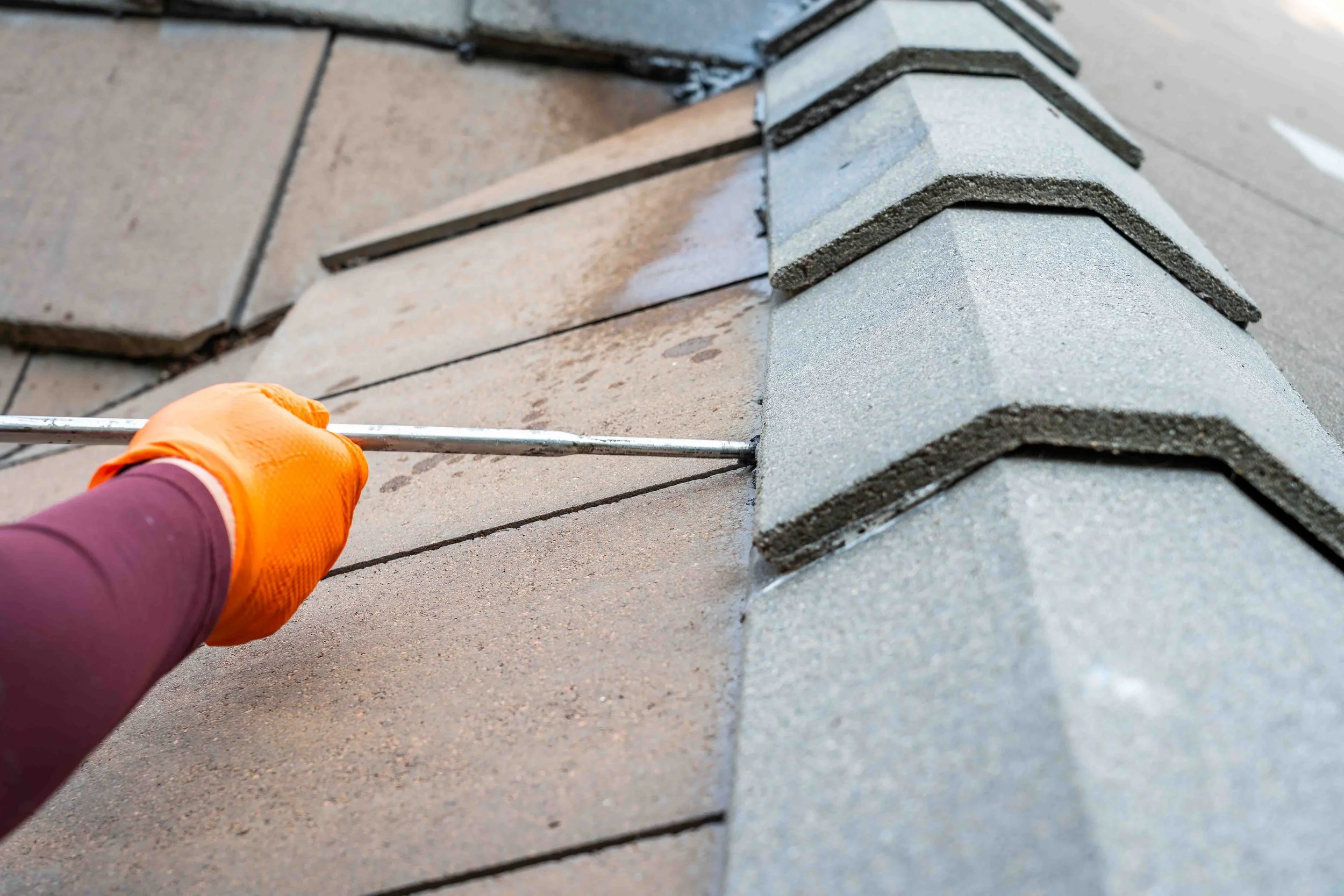 Can You Bat Proof a Stone or Tile Roof? Challenges and Solutions