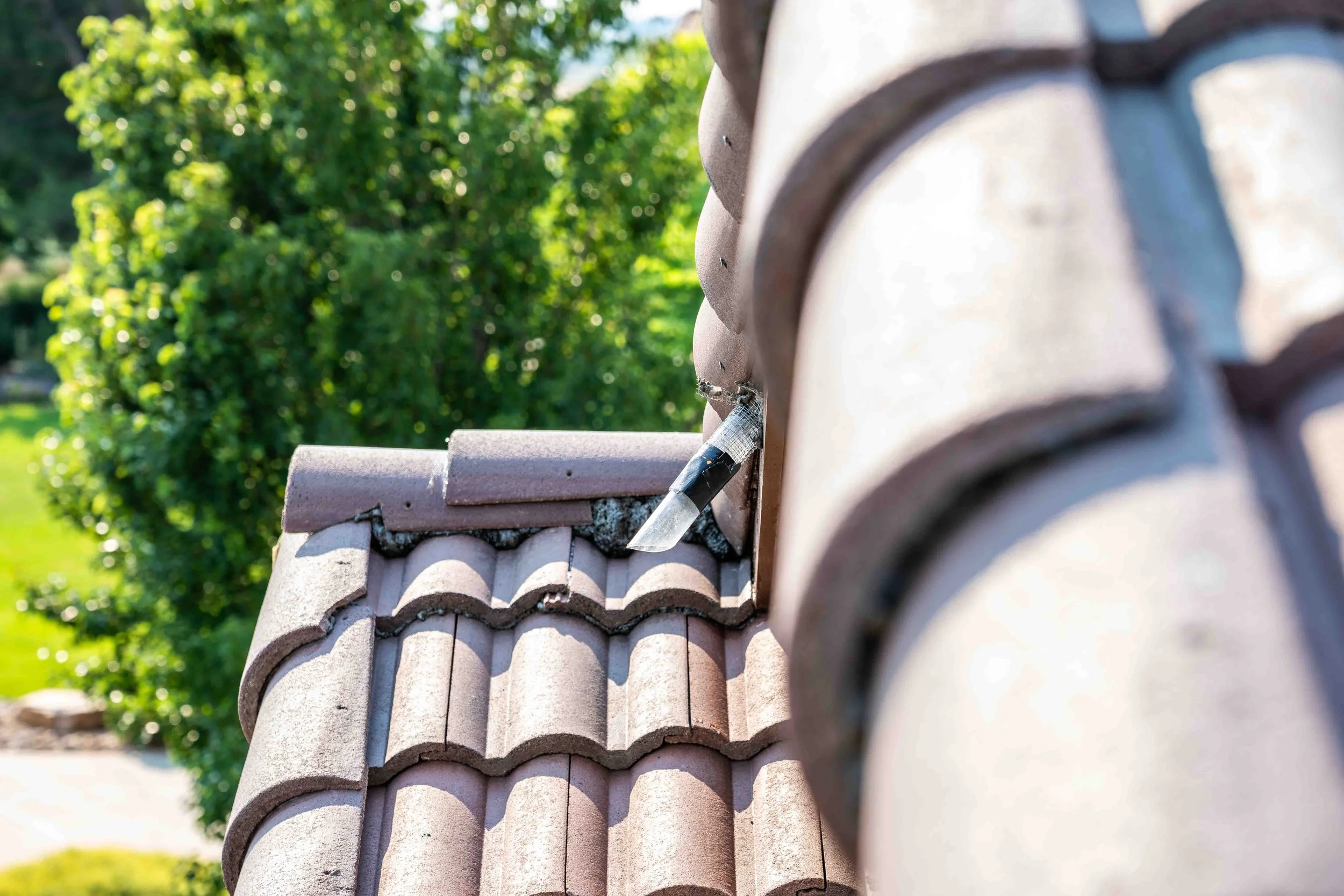 Close-up of a tile roof section with a one way bat removal device sticking out, with a background of green trees and grass.