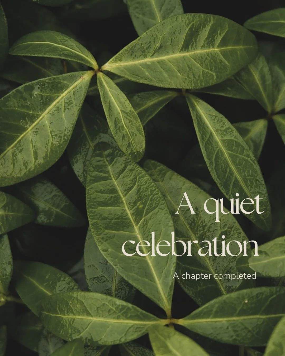 Today I&rsquo;m celebrating something quietly meaningful.

After months ok years of deep learning and deeper remembering, I&rsquo;ve completed my Graduate Certificate in Creative Mindful Education for Children.

My mentor, Janet, offered words that t