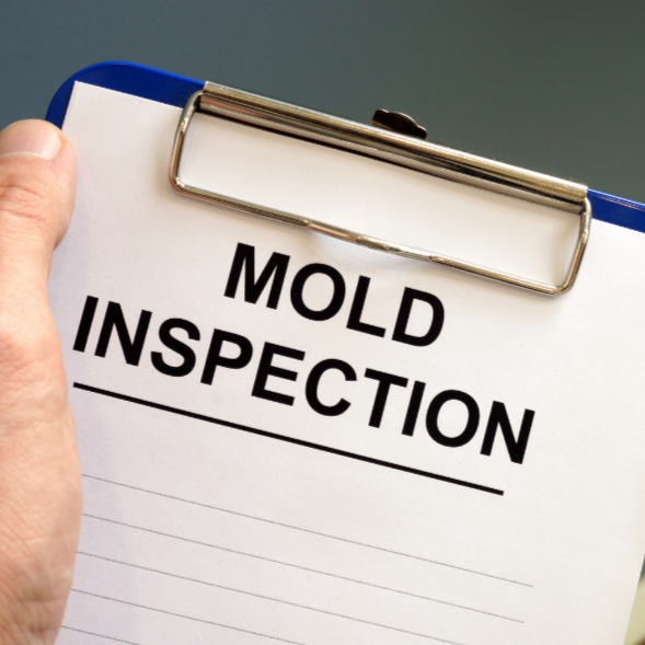 Mold Remediation Checklist: What Most Companies Miss (And Why You Might Still Get Sick)