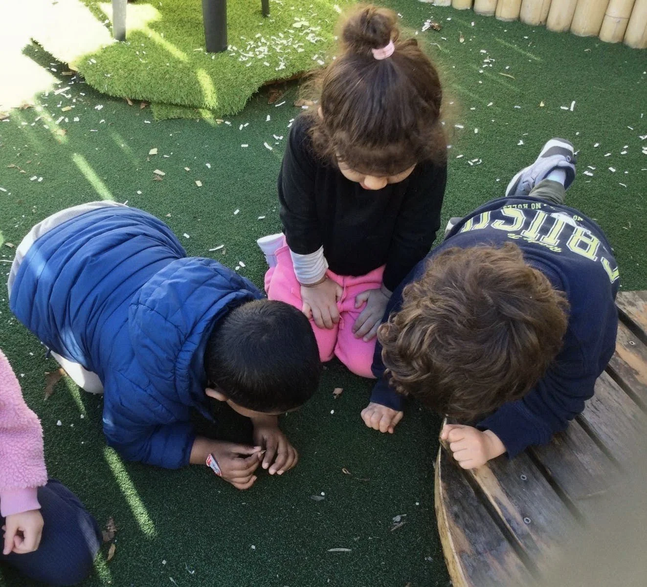 STMCC - Worm Farm Project