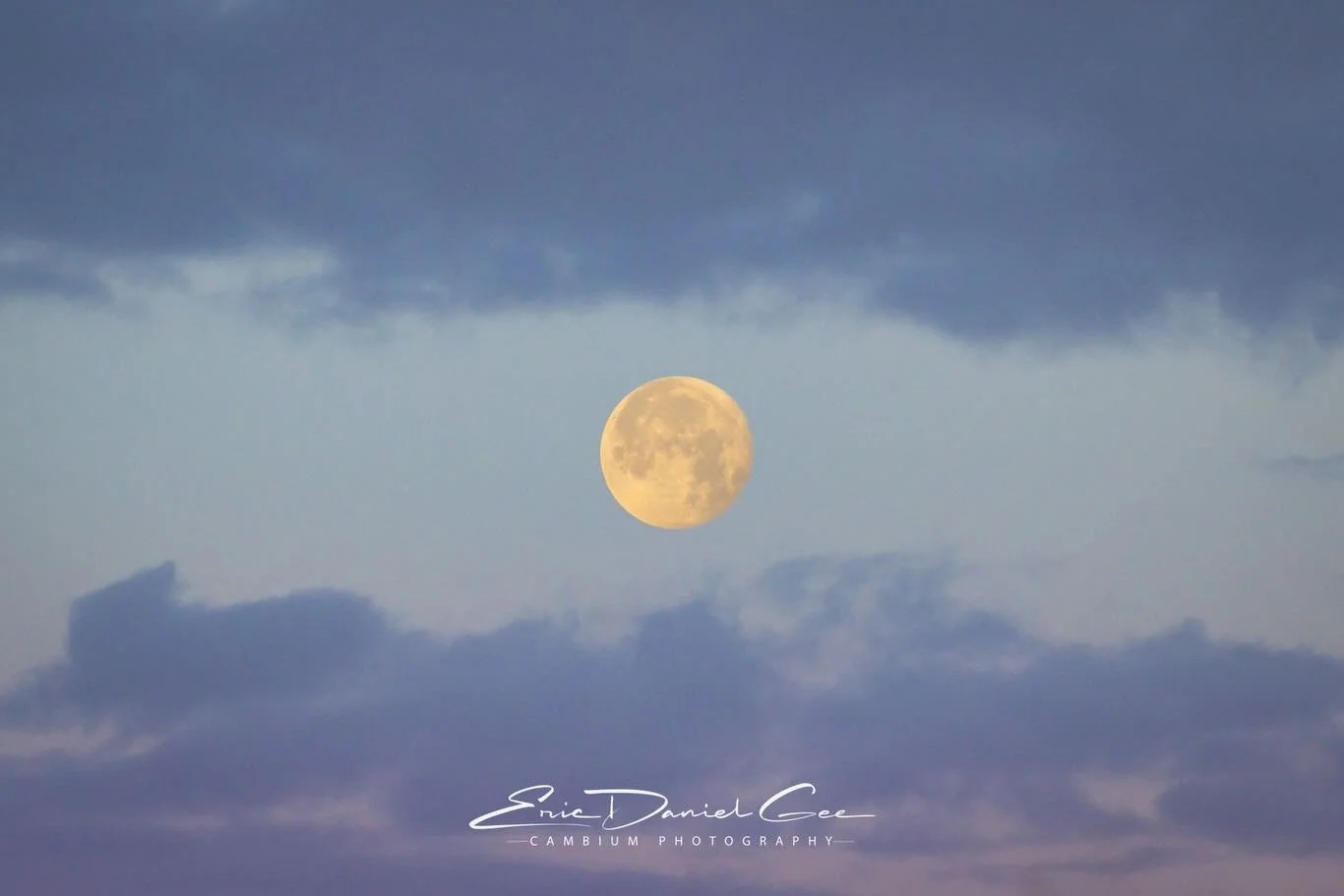 There&rsquo;s something sacred about early mornings in Central Florida.

I woke before sunrise and caught the full moon resting between breaks in the clouds just before it slipped away. Then came that soft, cotton candy sky, painting the horizon in t