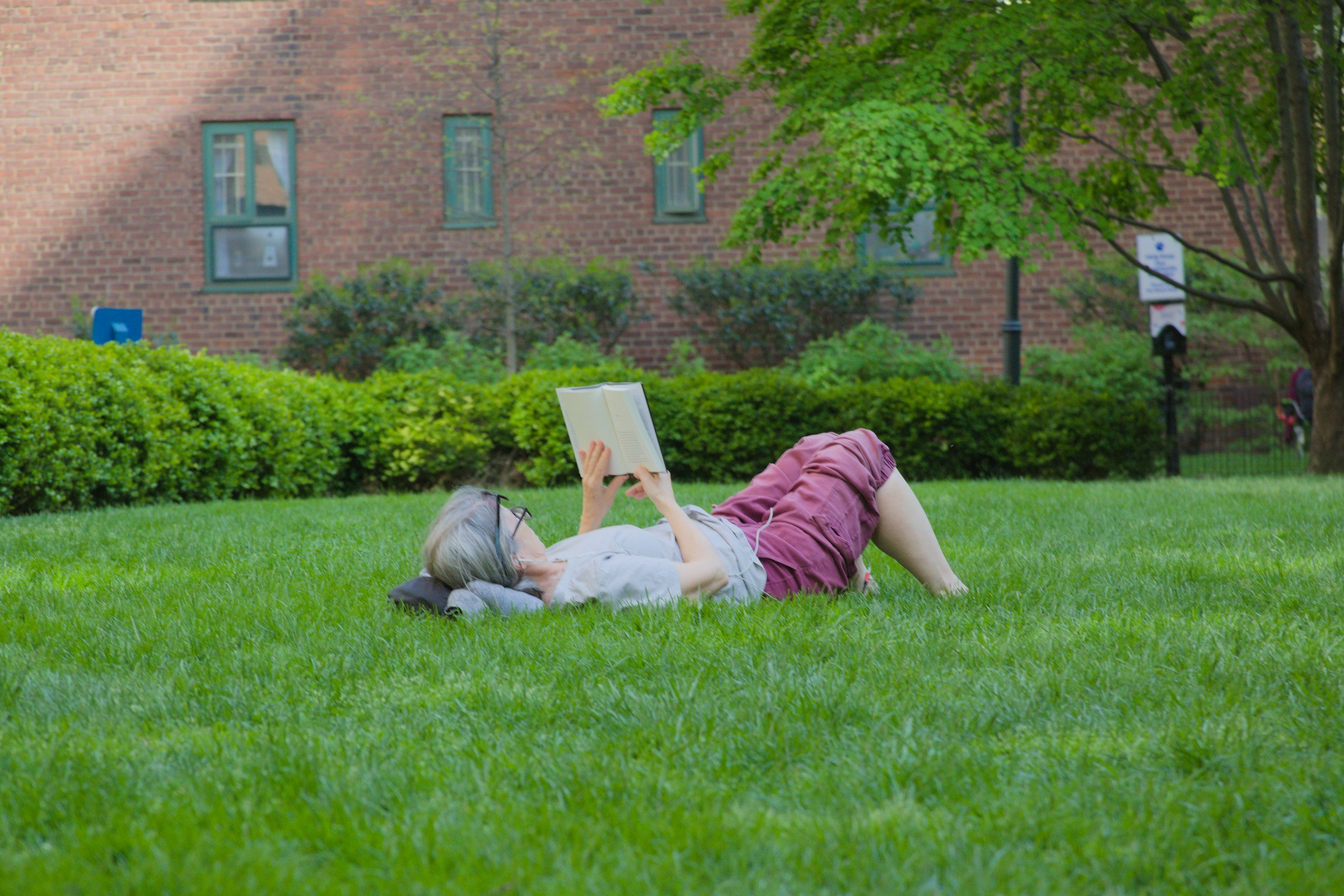 Best Places to Read a Book Outdoors in London