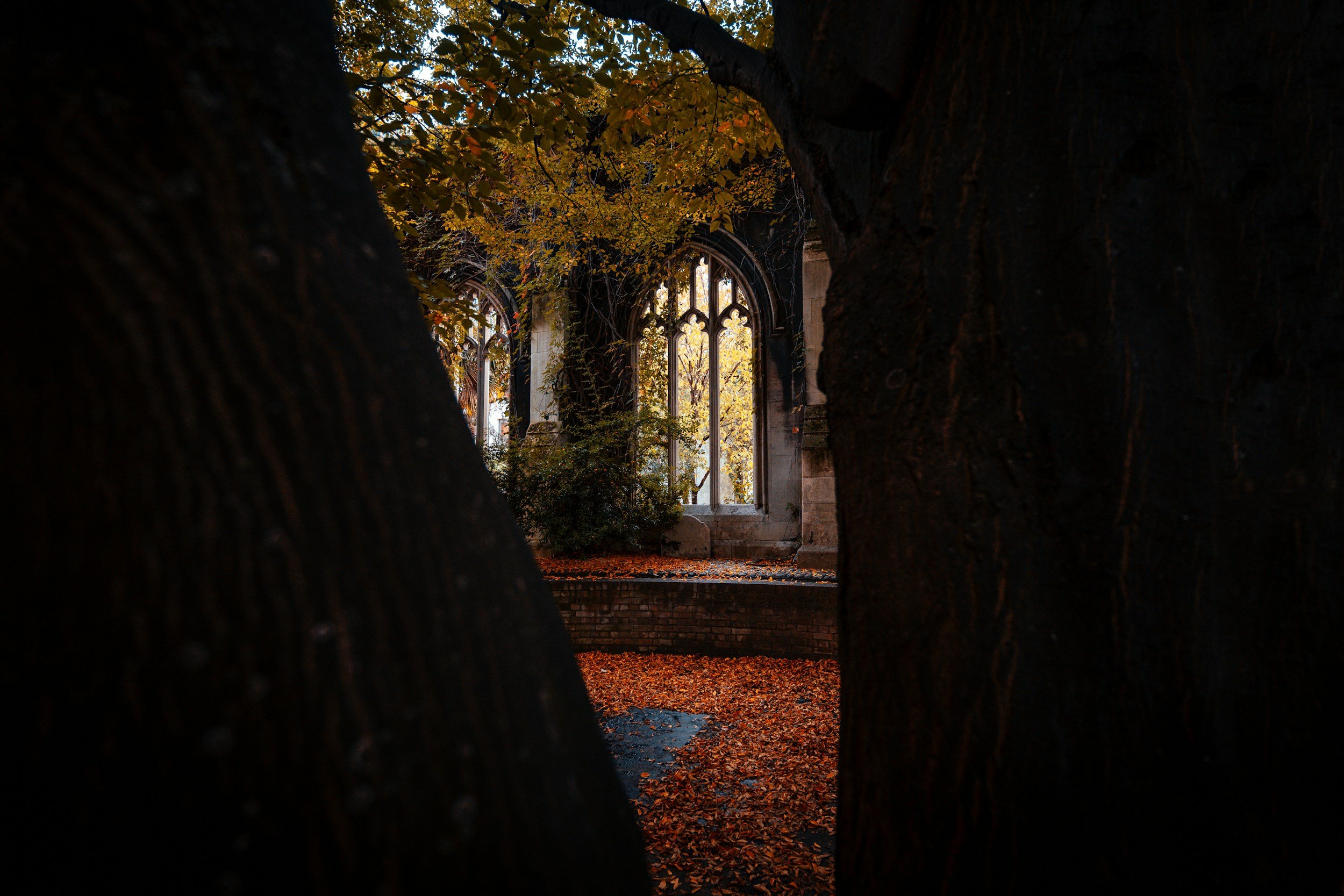 London’s Hidden Side: Quirky Facts Every Local Should Know