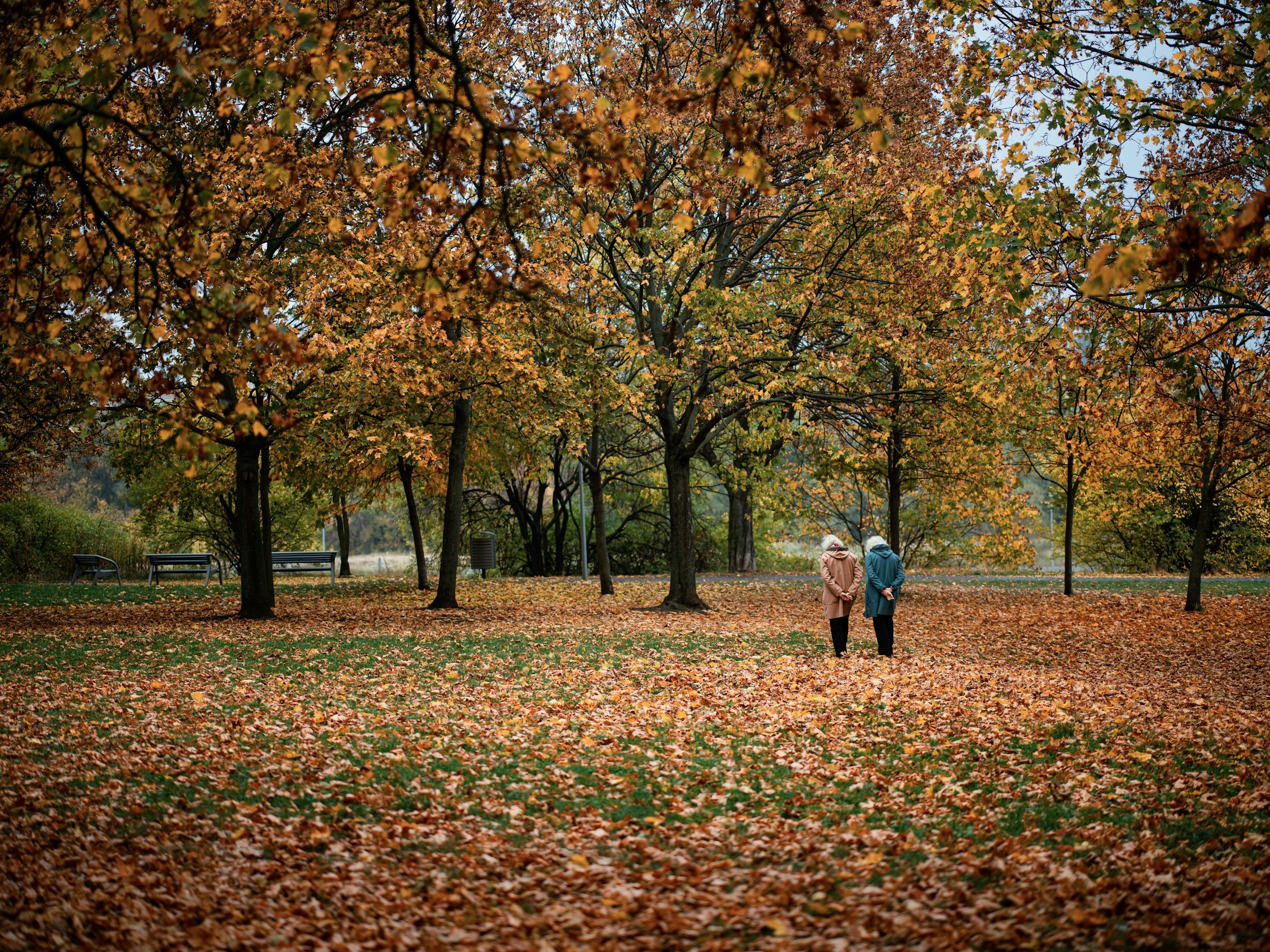 London’s Gorgeous Autumn Walks: Part 5 – Battersea Park, Riverside, and Two Stunning Bridges