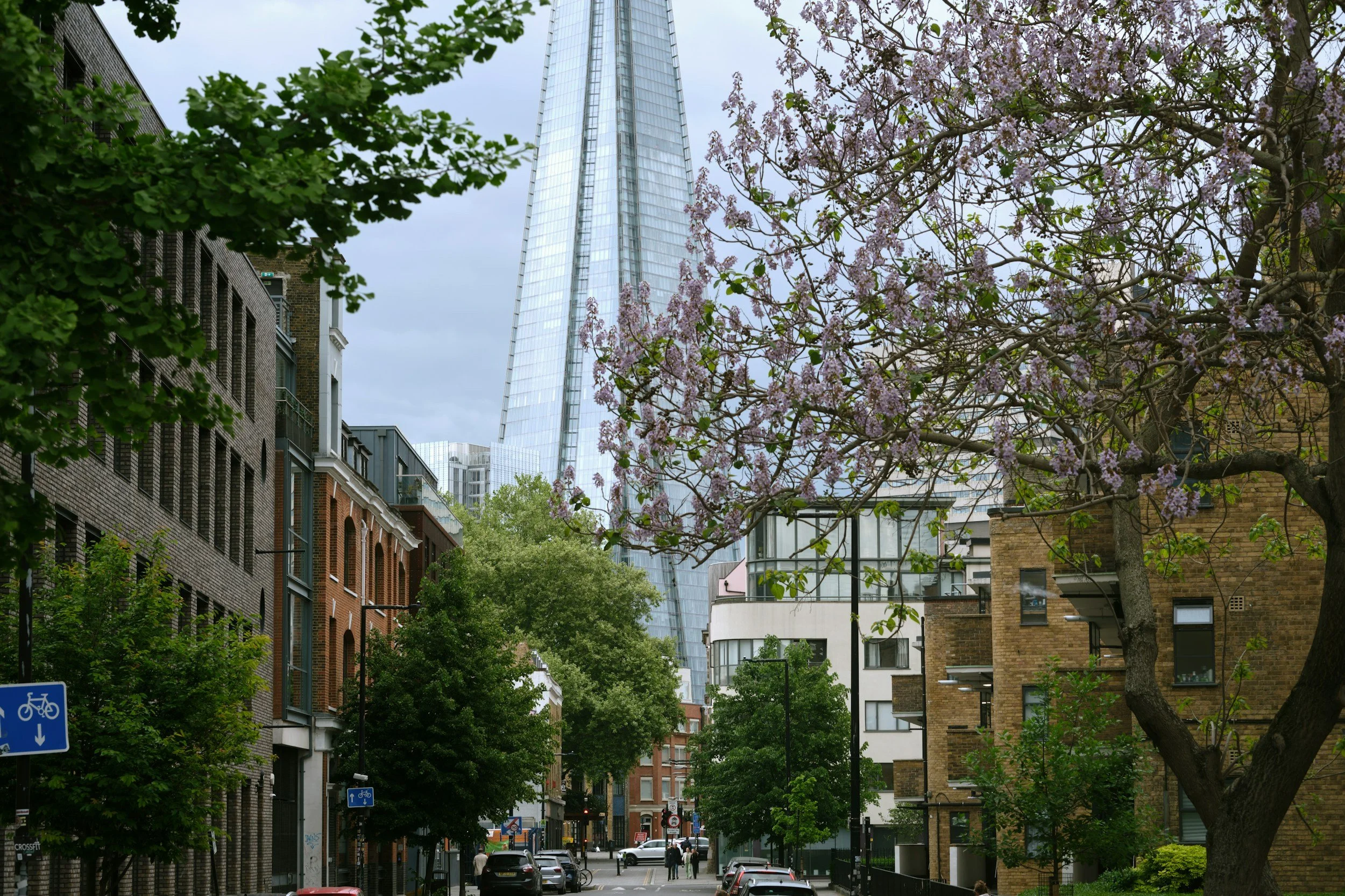 Best Spring Walks in London Right Now (2026 Guide)