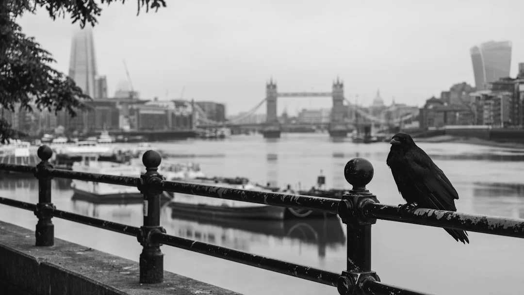 Things That Exist in London but Almost Nowhere Else