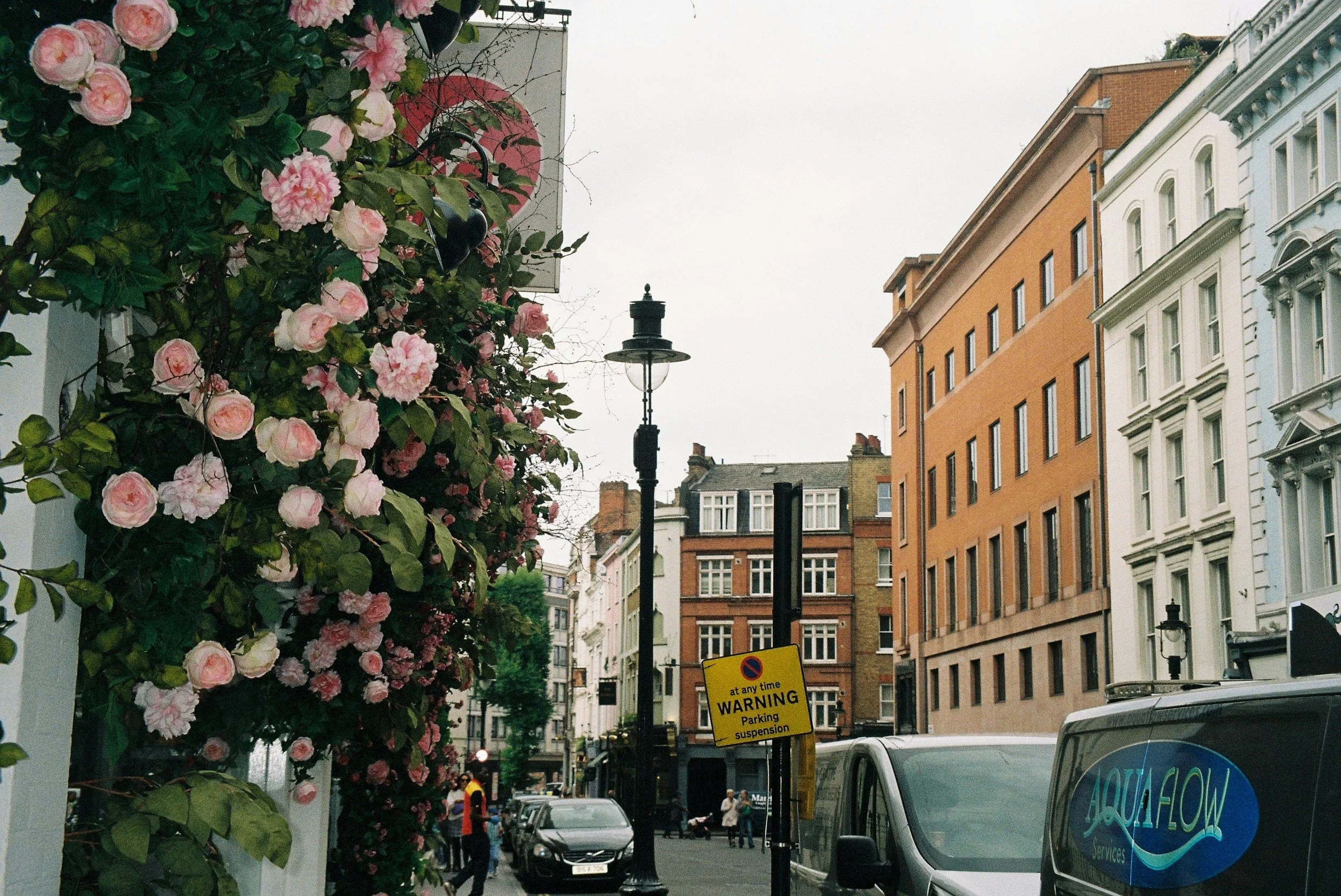 Why June Is the Best Month to Visit London's Rose Gardens