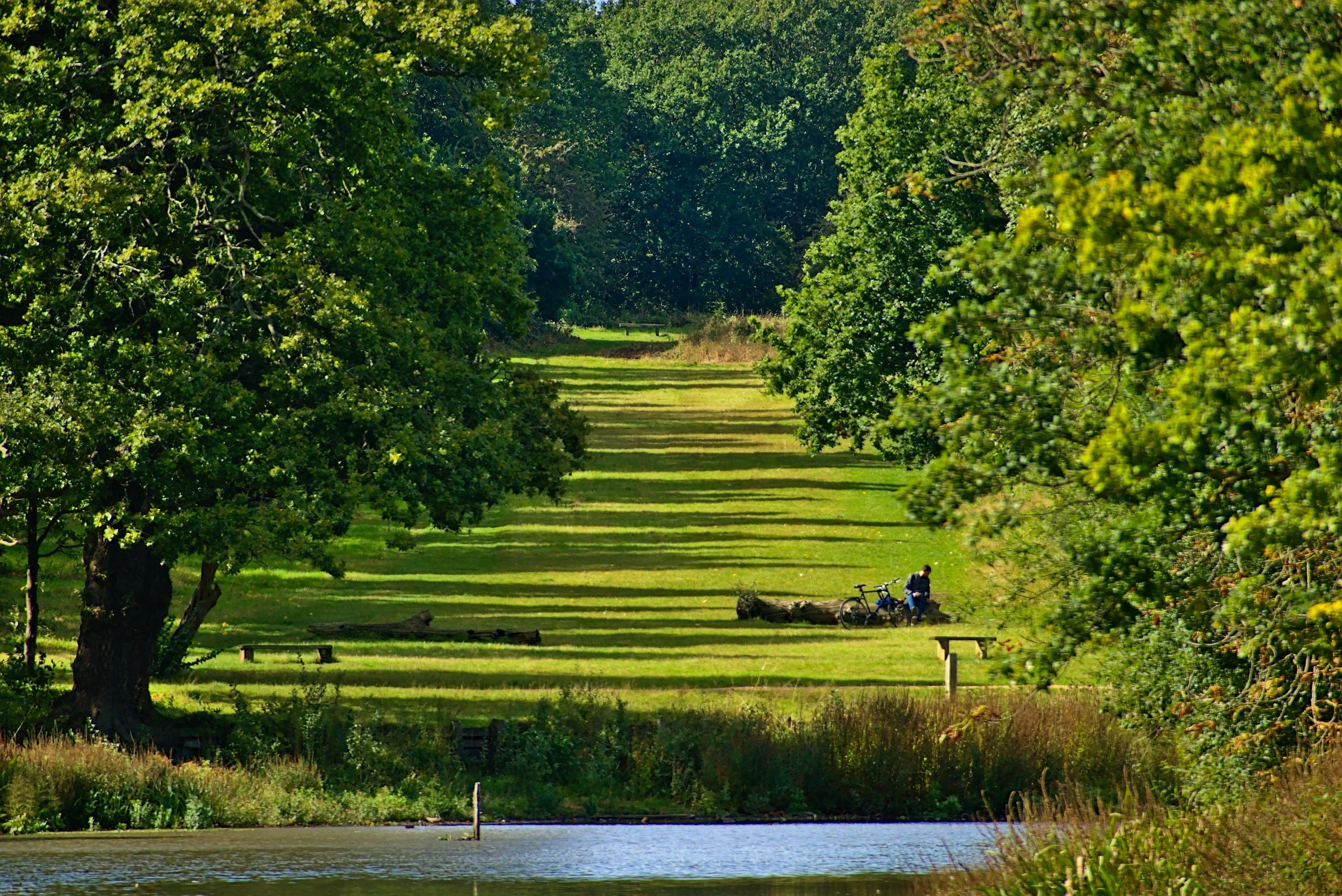 Why Does London Have So Many Parks?