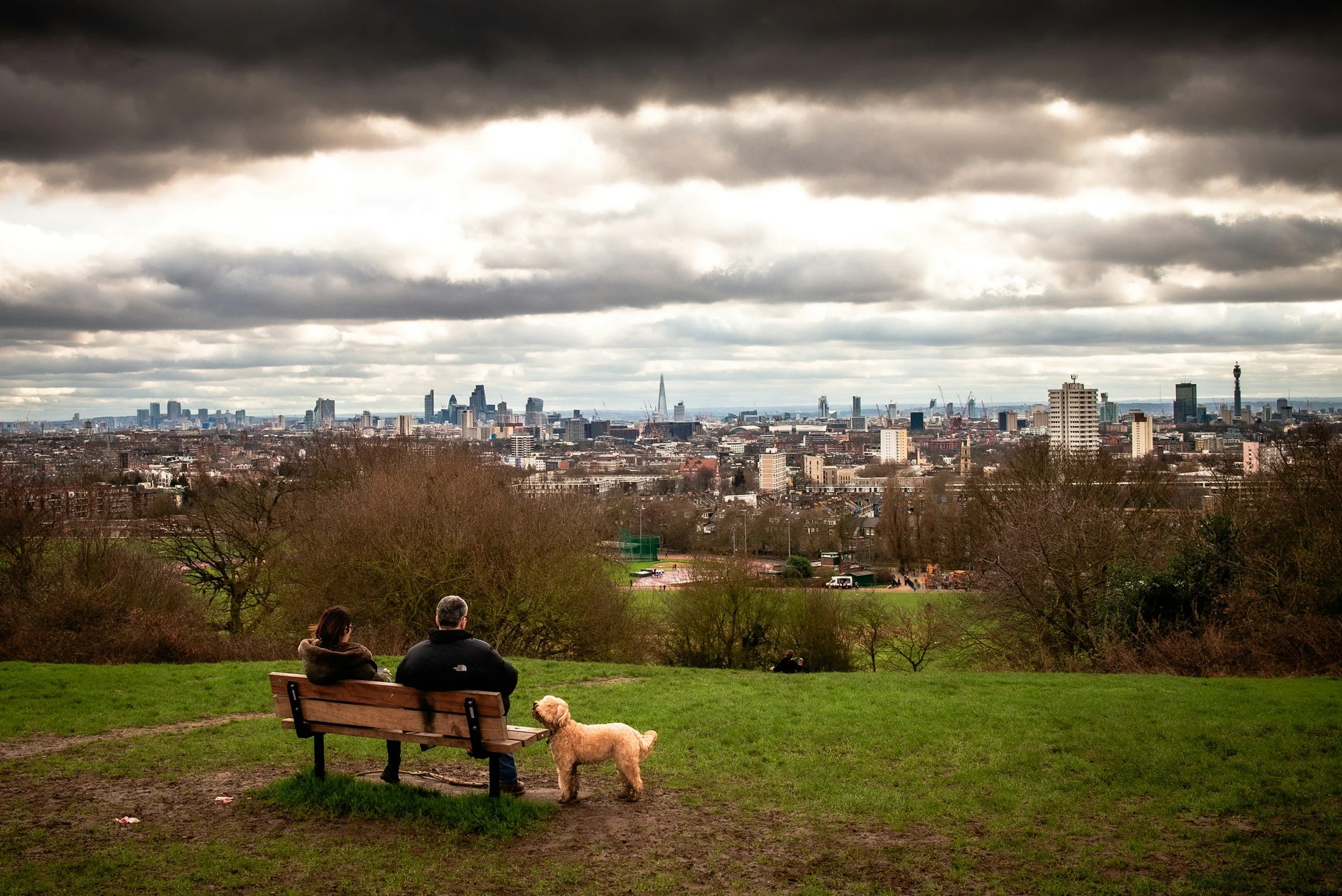 12 Best Dog-Friendly Parks in London Every Dog Lover Should Visit