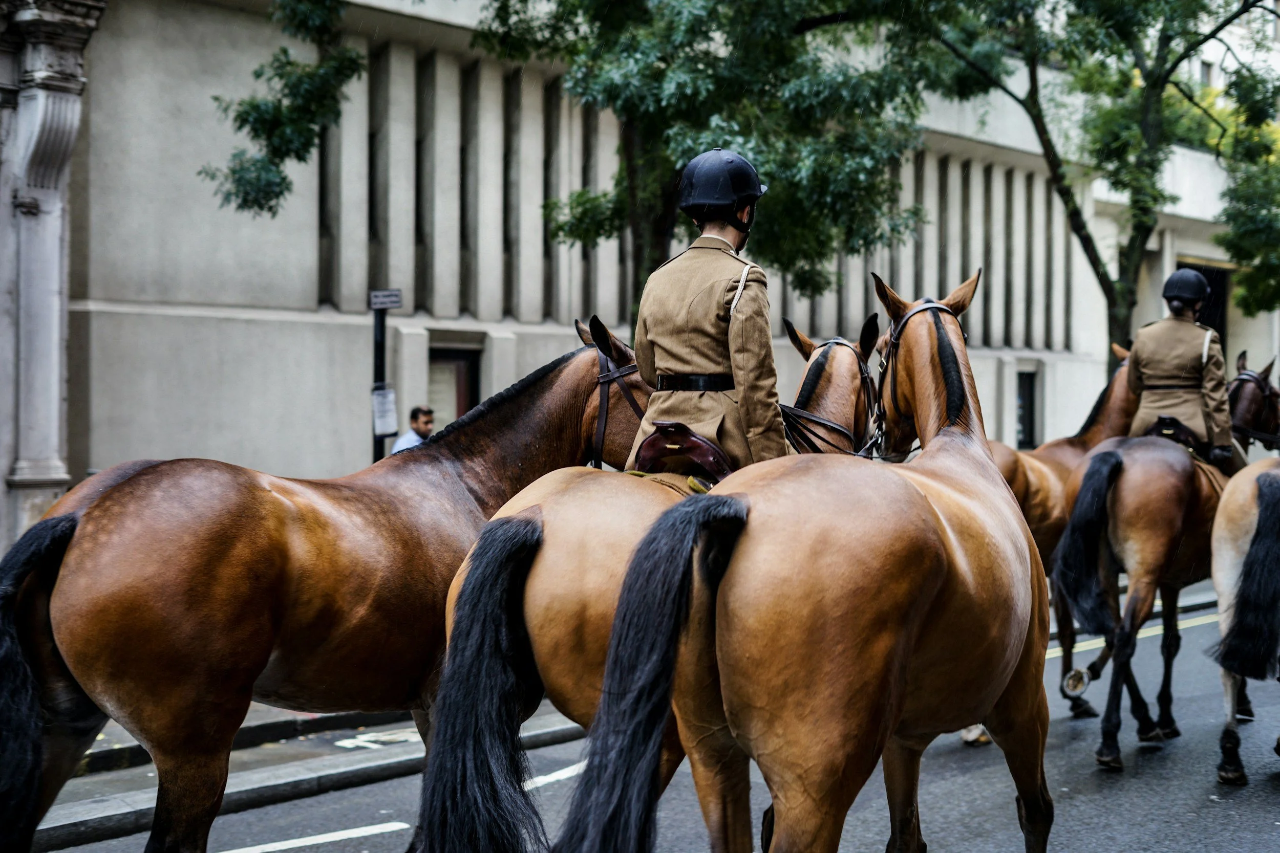 13 Ways to Experience Horse Riding and Horse Racing Near London