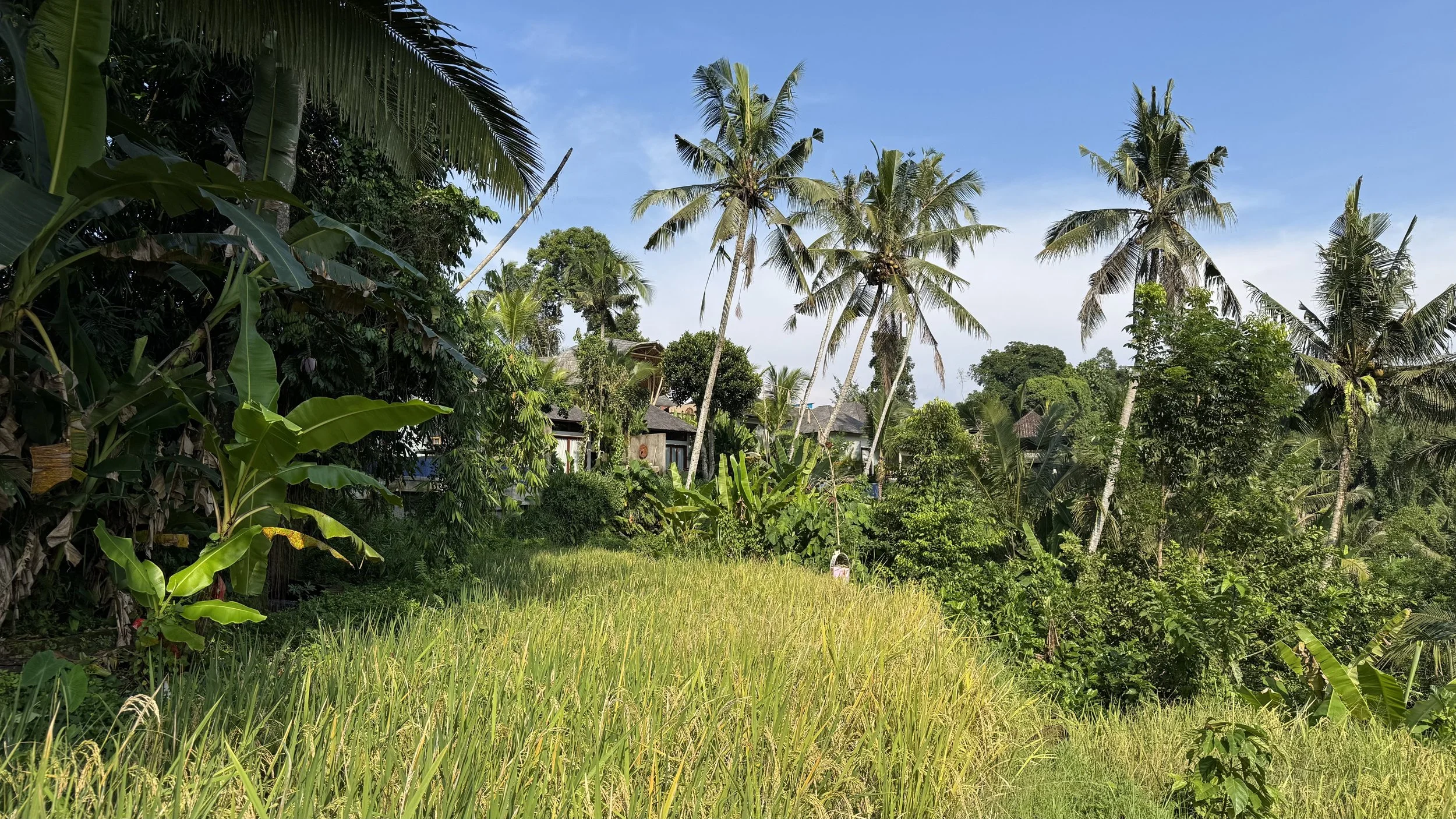 A Place in Bali Where Time Slows Down Sumberkima Hill