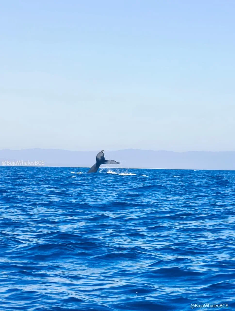 WhatsApp Image 2026-03-22 at 5.40.58 PM.jpeg