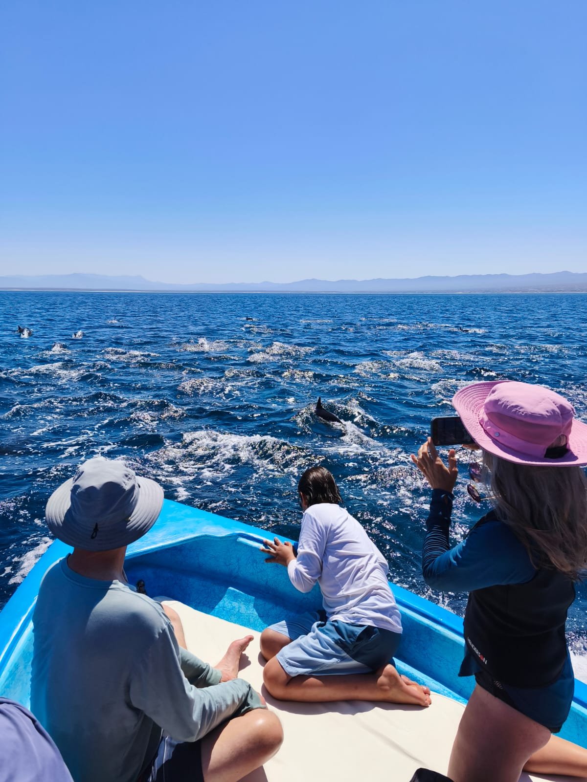 WhatsApp Image 2026-03-19 at 9.39.37 PM.jpeg