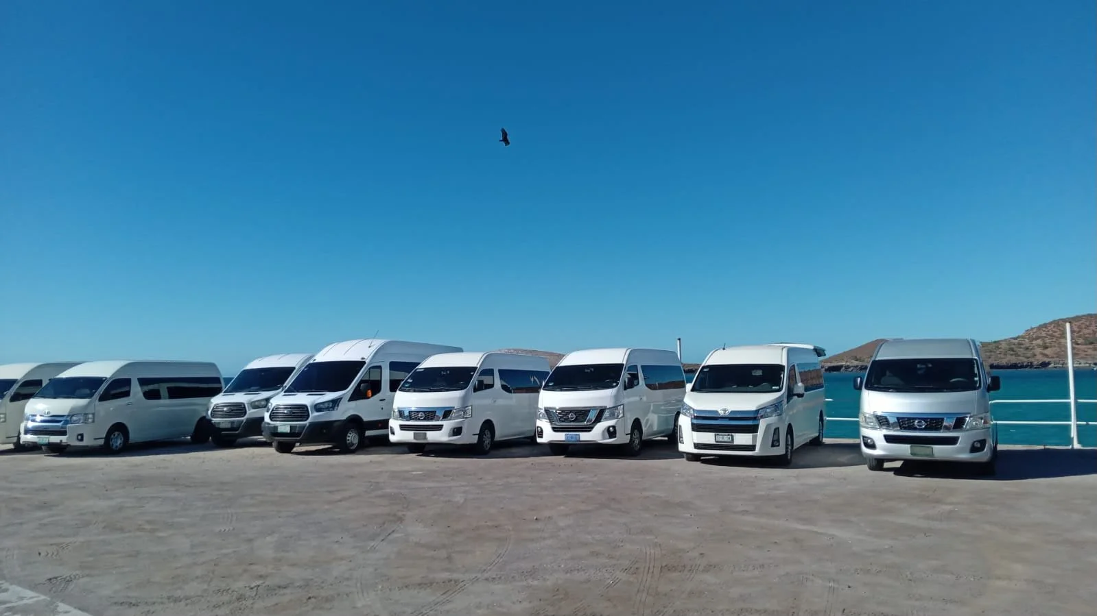 Line of white vans parked on a dirt lot with a body of water and hills in the background under a clear blue sky, bird flying overhead.