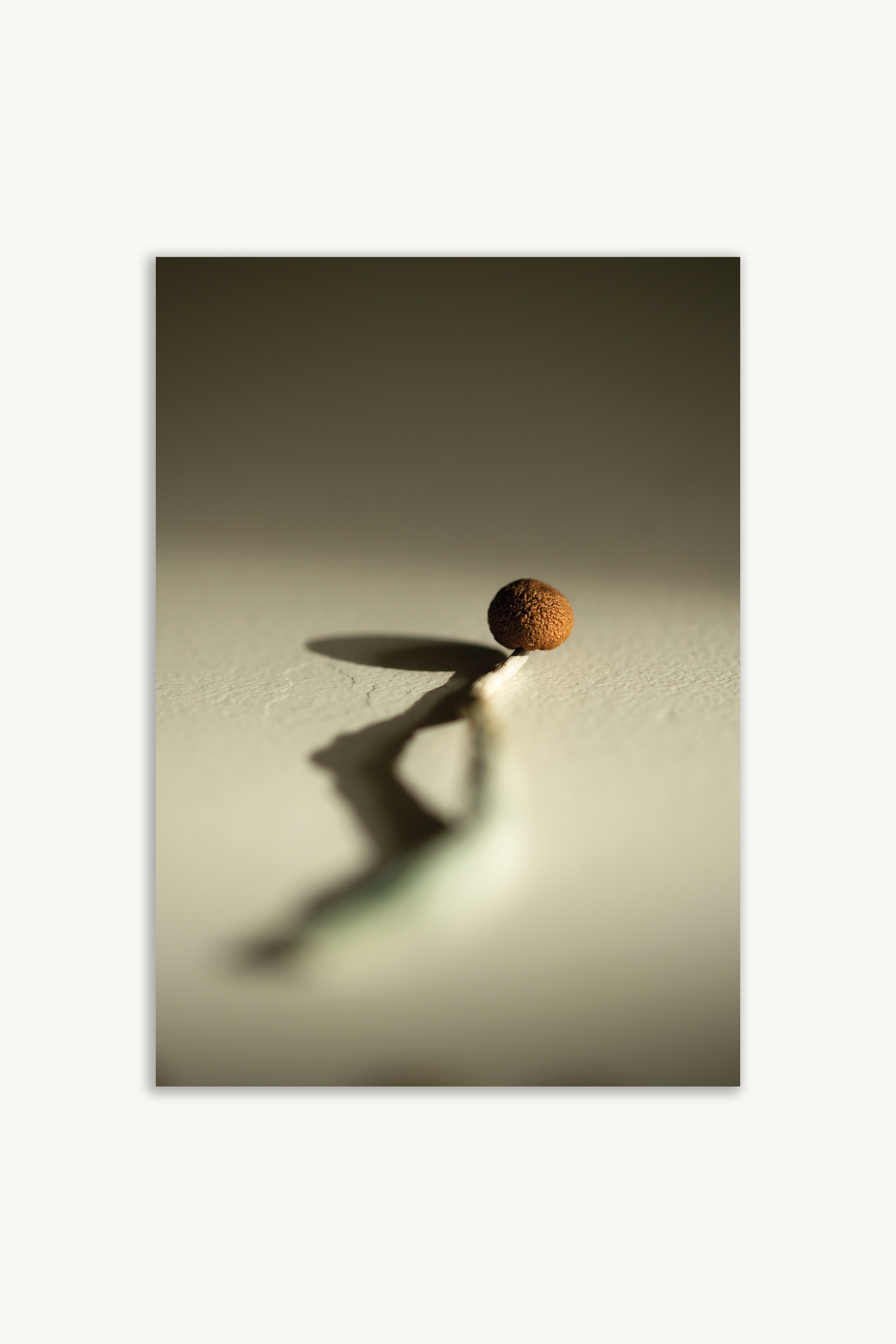 golden teacher wall art print