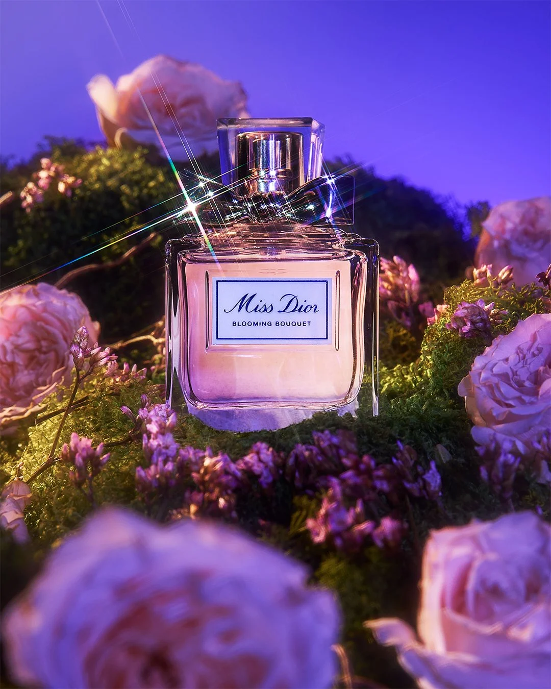 Dior-Bloom-Sunlight- IG 1.jpg