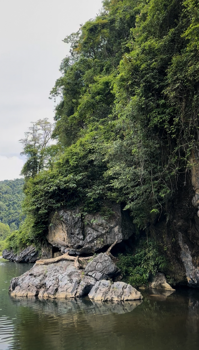 Screenshot 2026-01-28 at 7.18.32 pm.png