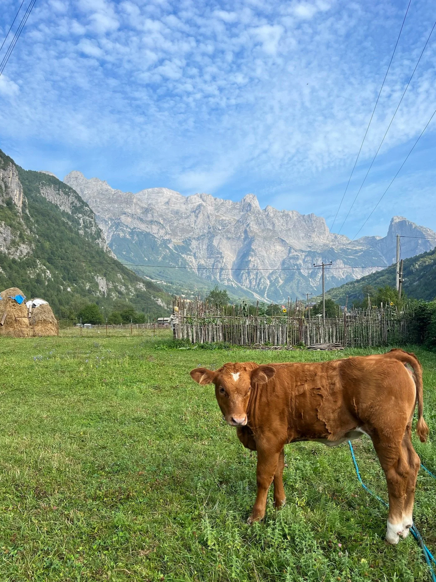 IMG_1564.png