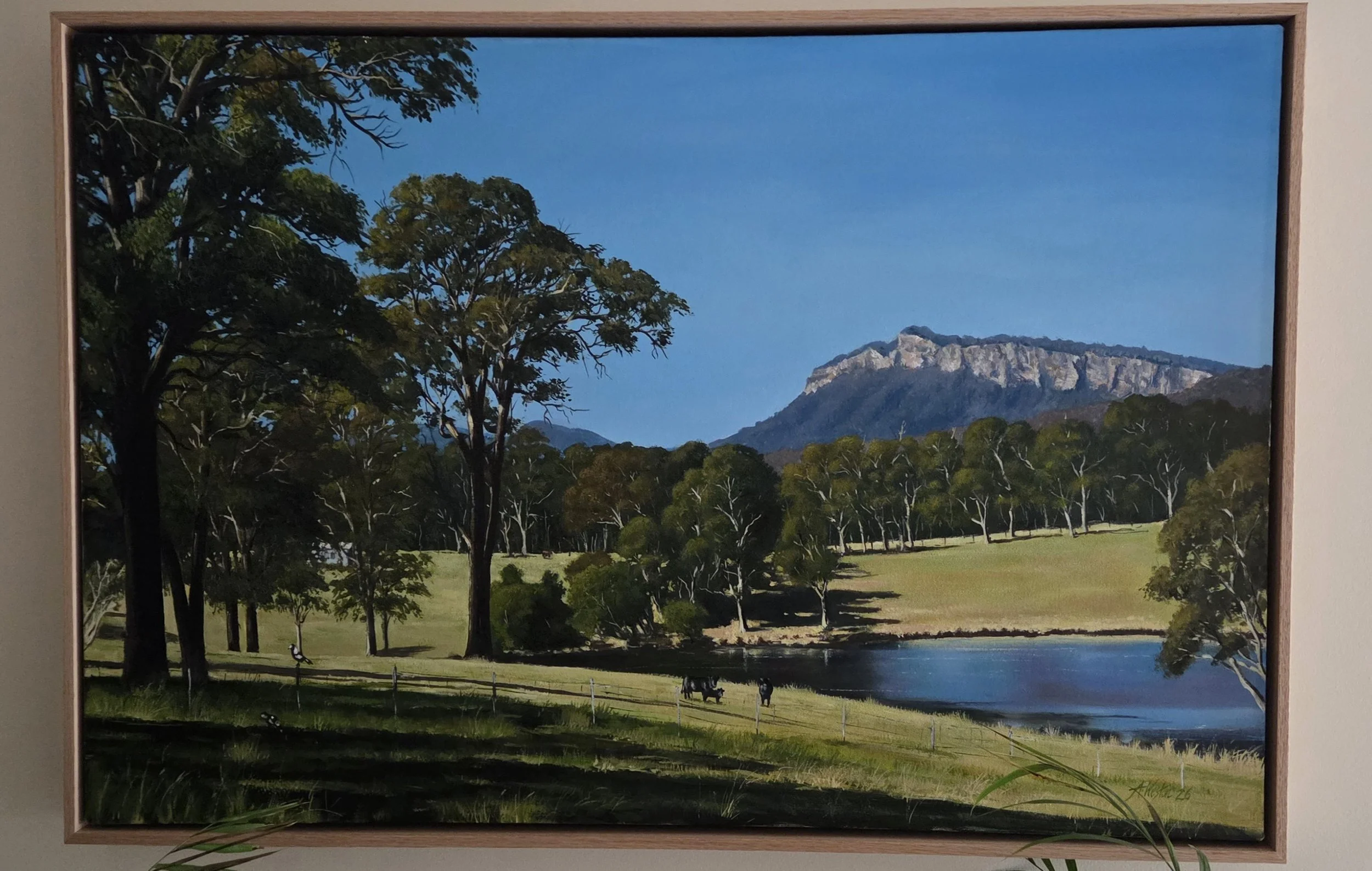 Wauchope District North Coast -oil on canvas - 90cm x 60cm
