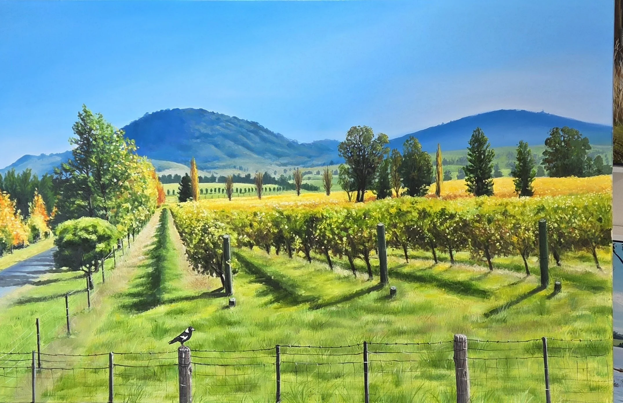 The Vineyard - Mudgee - oil on canvas - 90cm x 
60cm