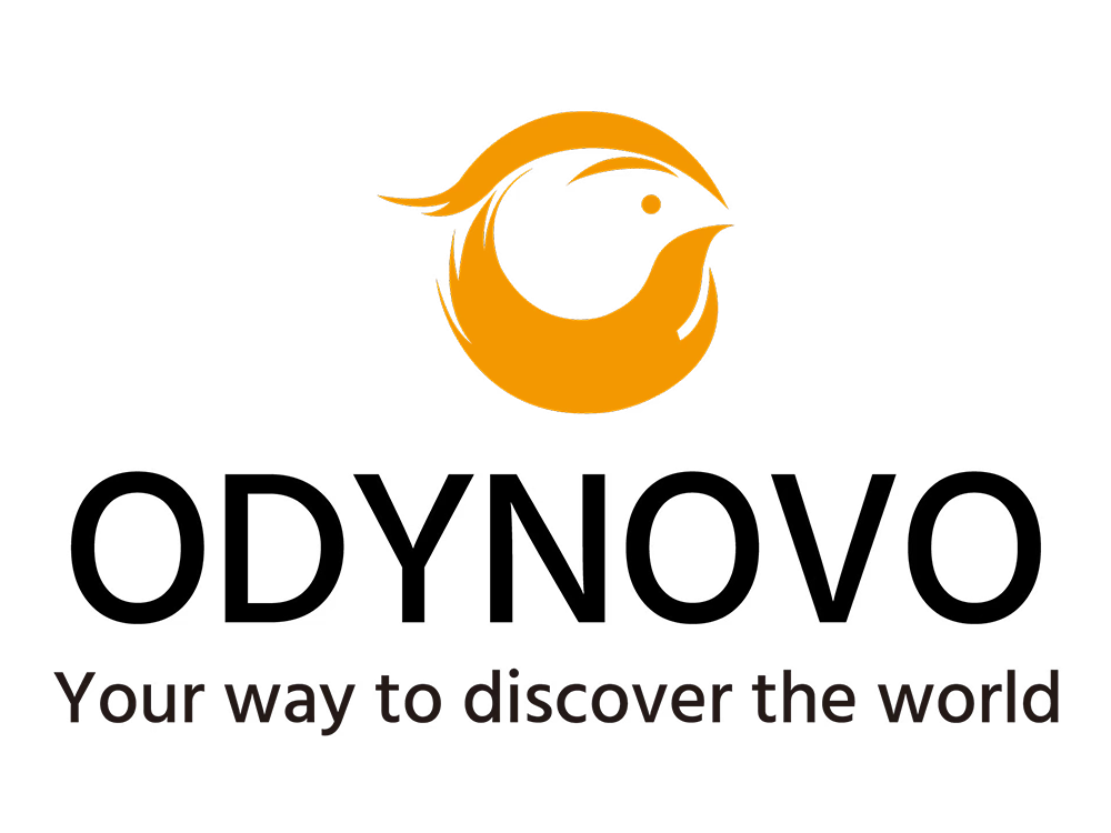 Odynovo Tours