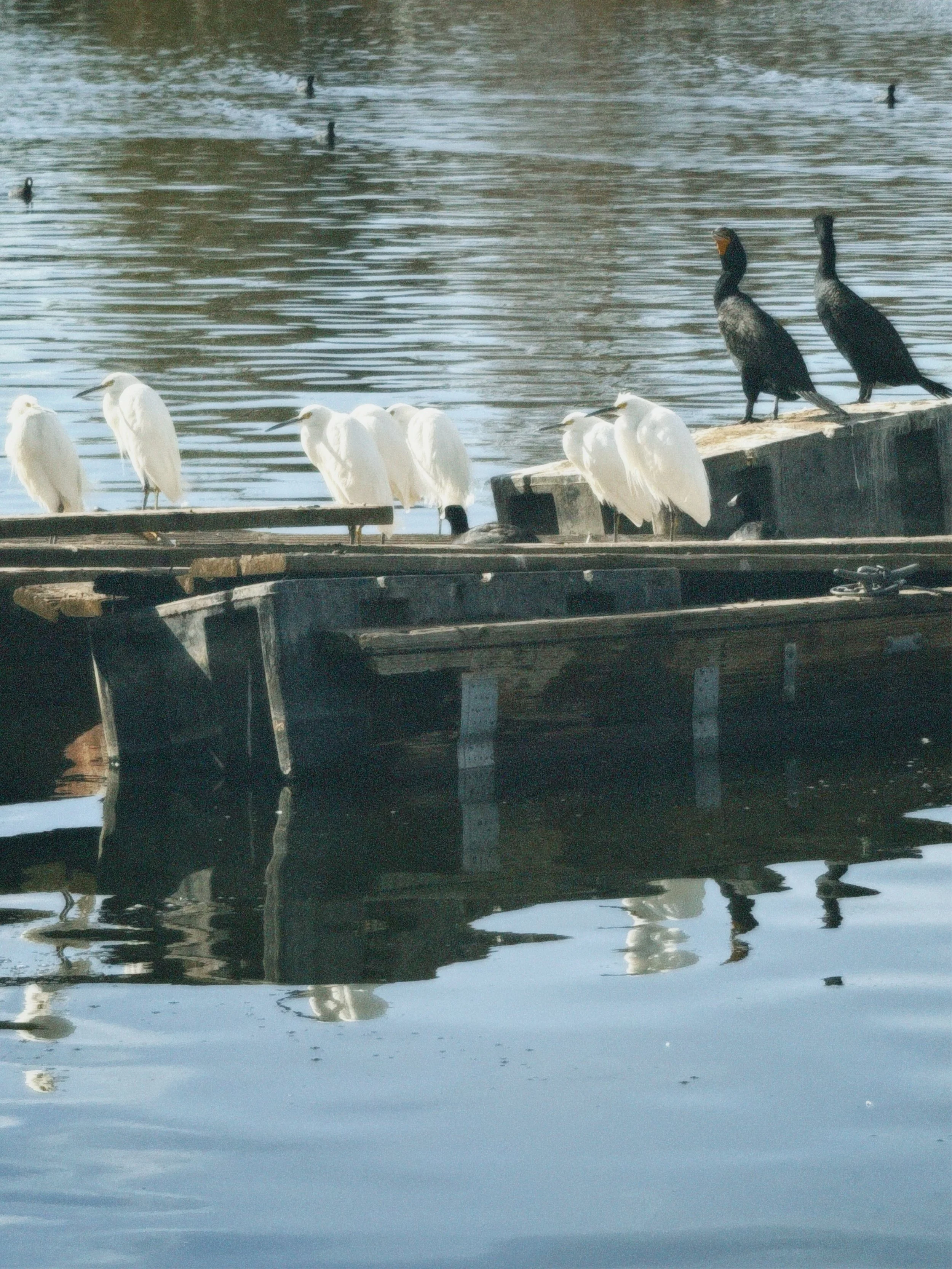 cpm35 2025-02-09 102946.120.jpg