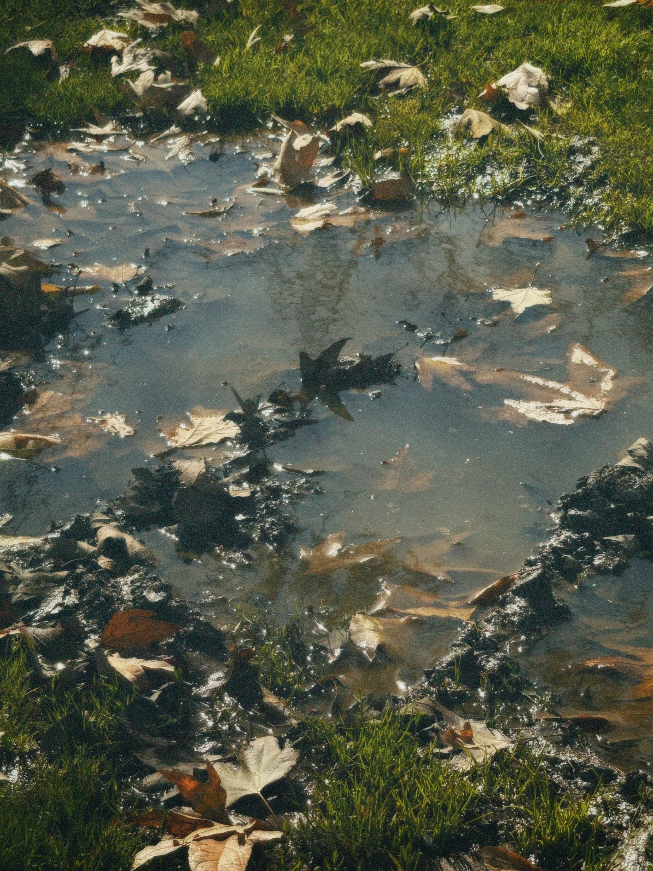 cpm35 2025-02-09 104511.476.jpg