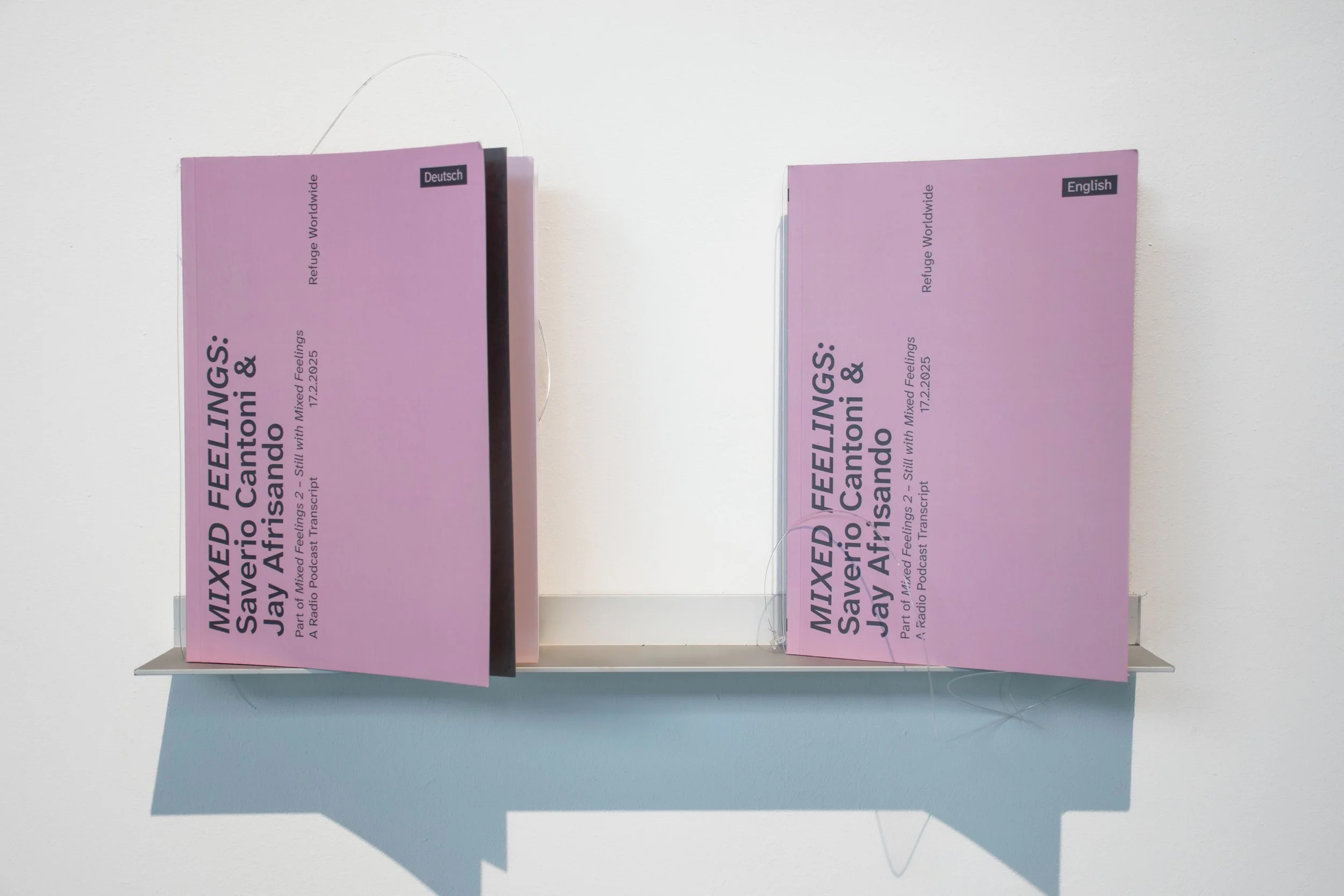 Two transcript books on a small floating wall shelf. Each book displays black text with a pink background. Photo: Dani Hasrouni.