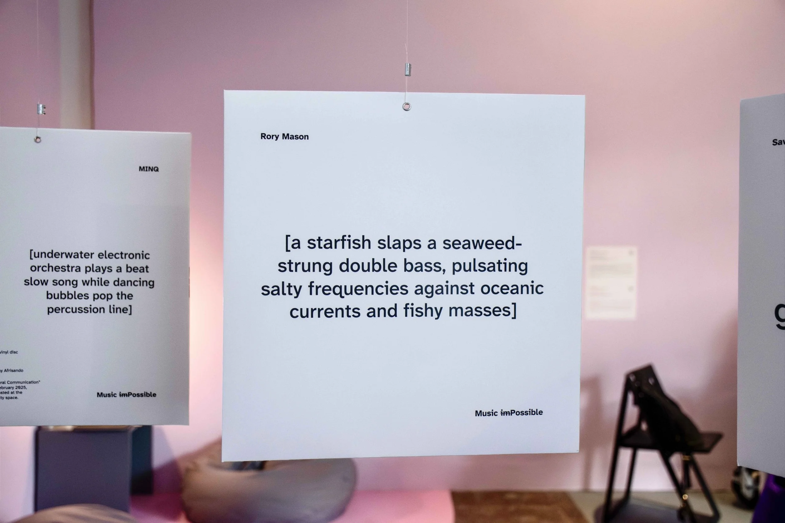 Vinyl 3: [a starfish slaps a seaweed-strung double bass, pulsating salty frequencies against oceanic currents and fishy masses] by Rory Mason. Photo: Dani Hasrouni. Event: “In Conversation” exhibition, 2025.