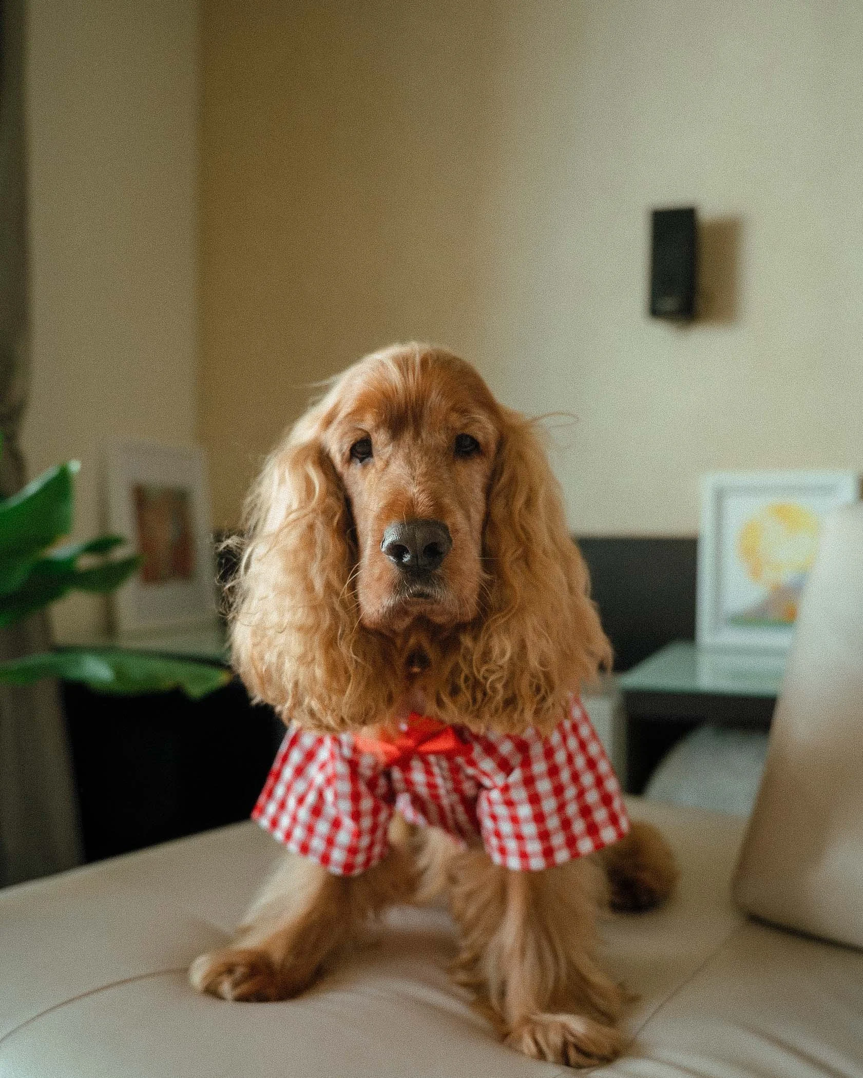 Bump it with fur-5.JPG