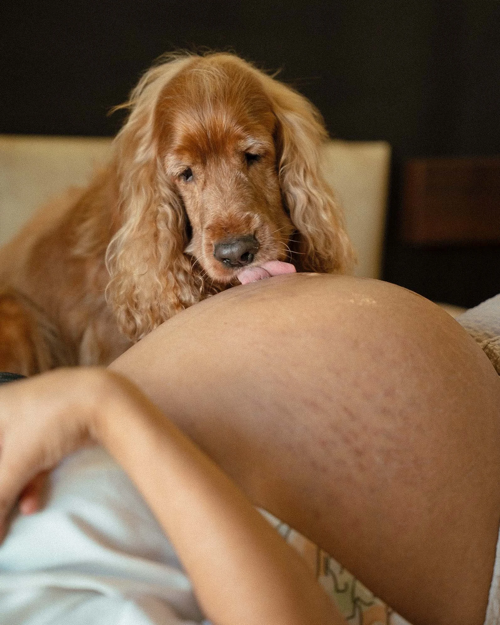 Bump it with fur-16.JPG