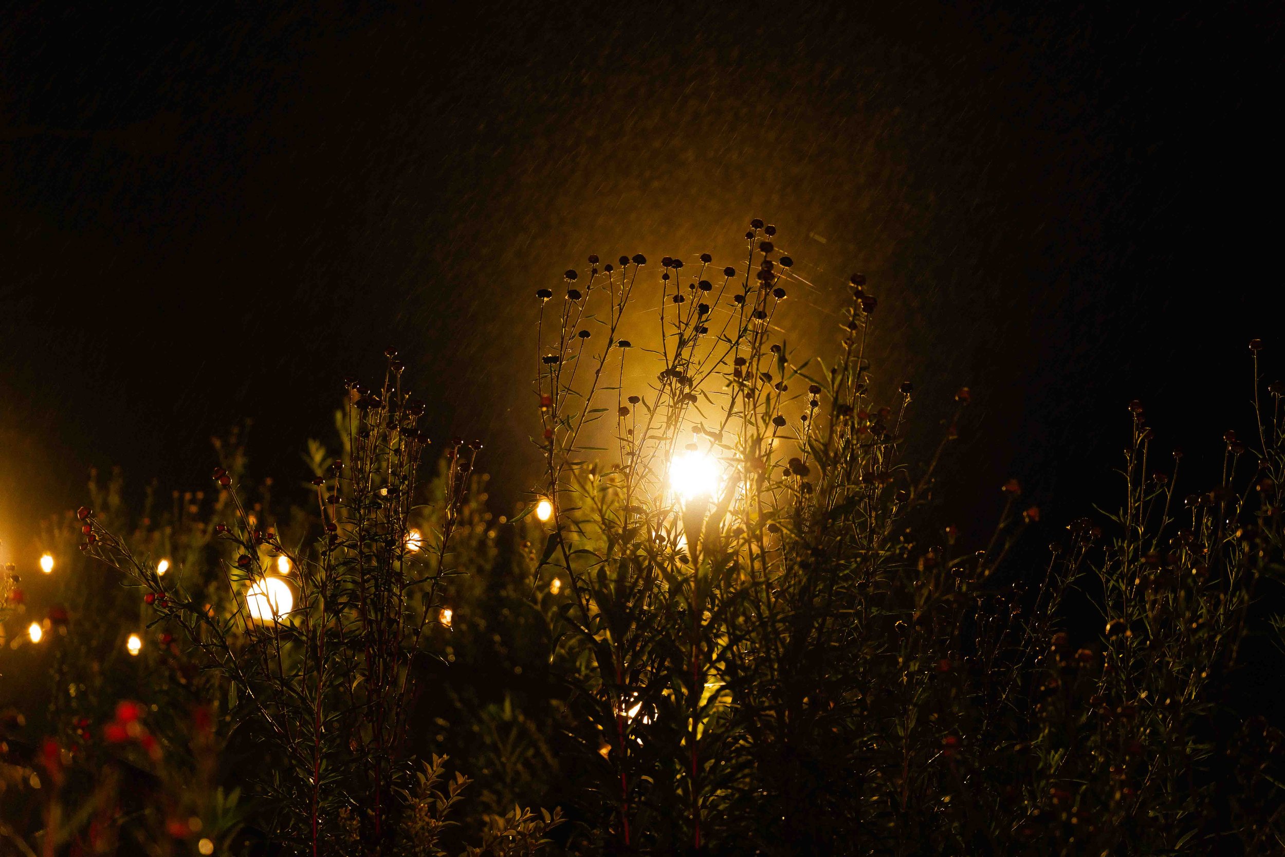 under the mountains-59.jpg