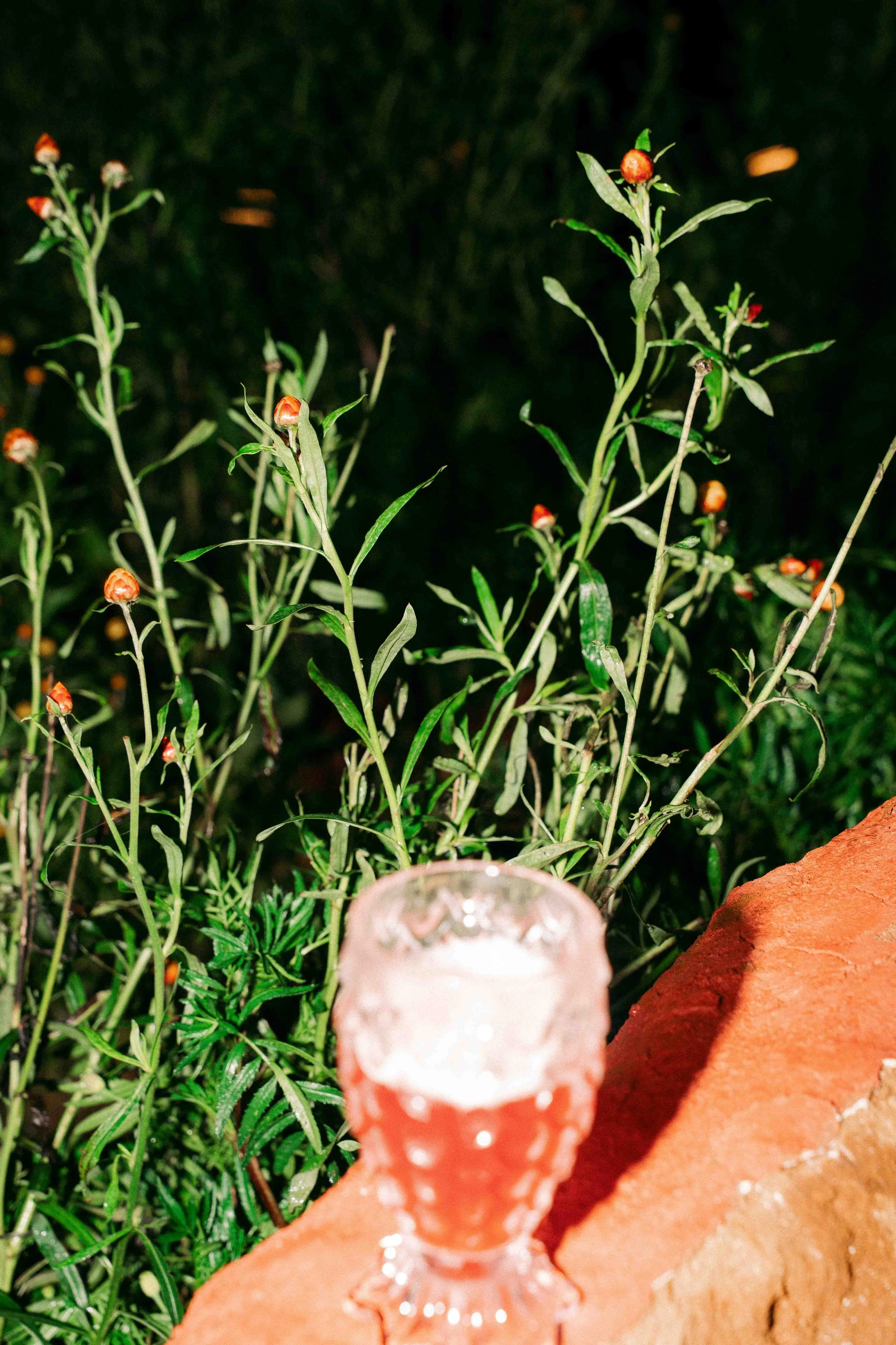 under the mountains-53.jpg