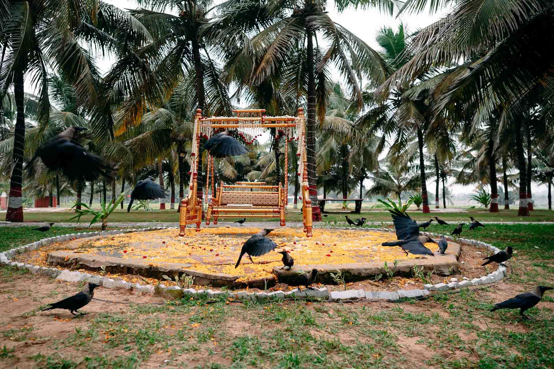 A decorated swing with a cushioned seat is placed on a circular platform covered with yellow flower petals, surrounded by palm trees, with black birds flying and walking around in an outdoor park setting.