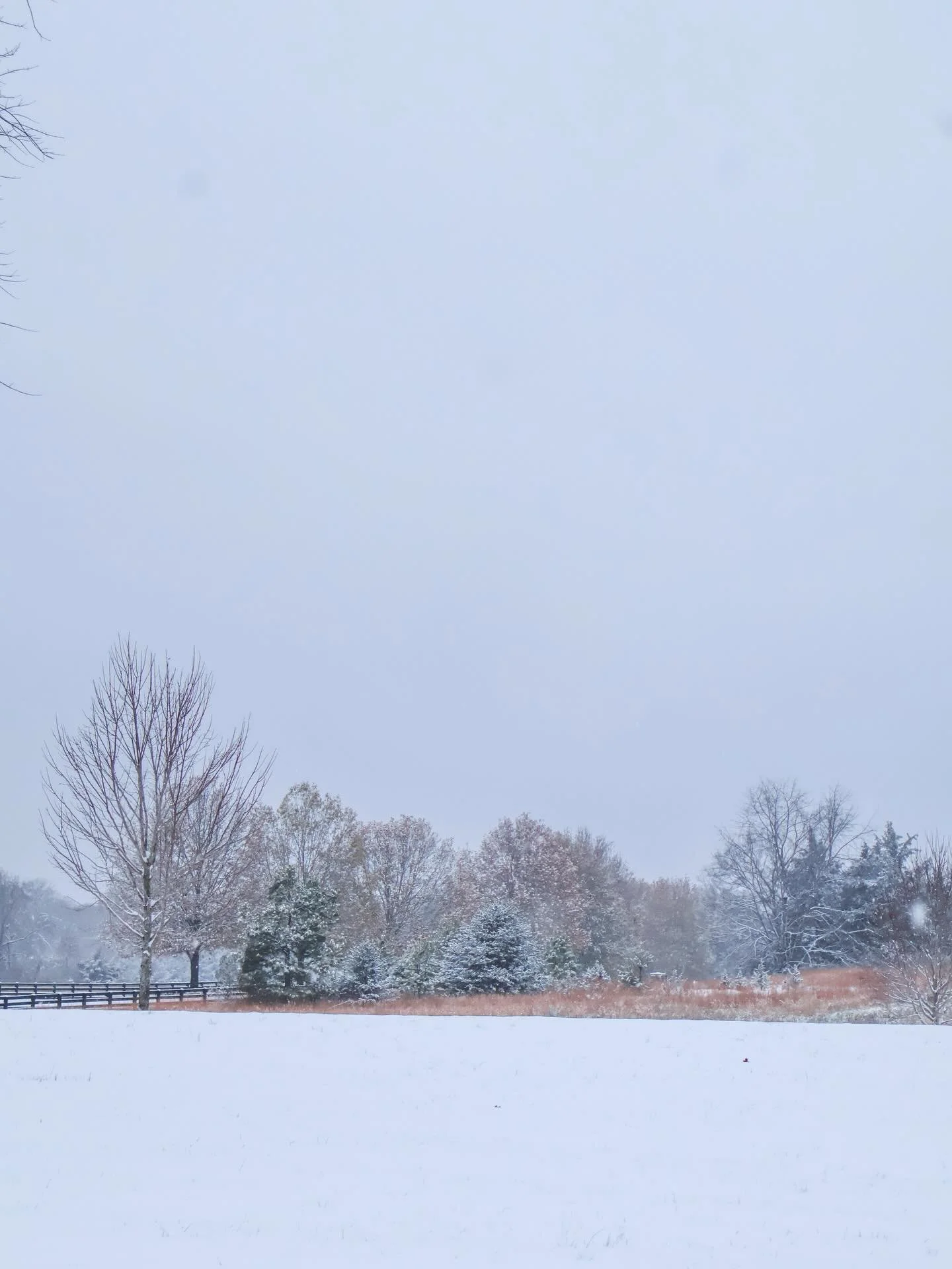 The magic of the first snowfall ❄️💕

We will be cozying up, watching movies, making popcorn and hot chocolate and soup and paper chains, and my goodness is this a beautiful life. 🥹

Winter magic. First snowfall. Peace. Silent night.