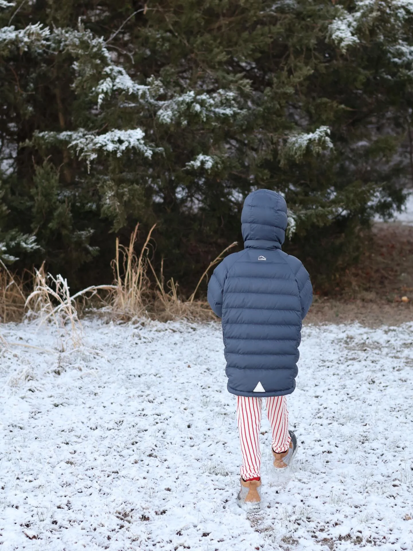 Introducing them to a winter morning beauty walk ❄️✨

Here are the questions I like to ask, it makes a lovely conversation. 

&bull; What beauty can you spot, take in, find?
&bull; What beauty stops you?
&bull; What does the beauty make you feel? 

A