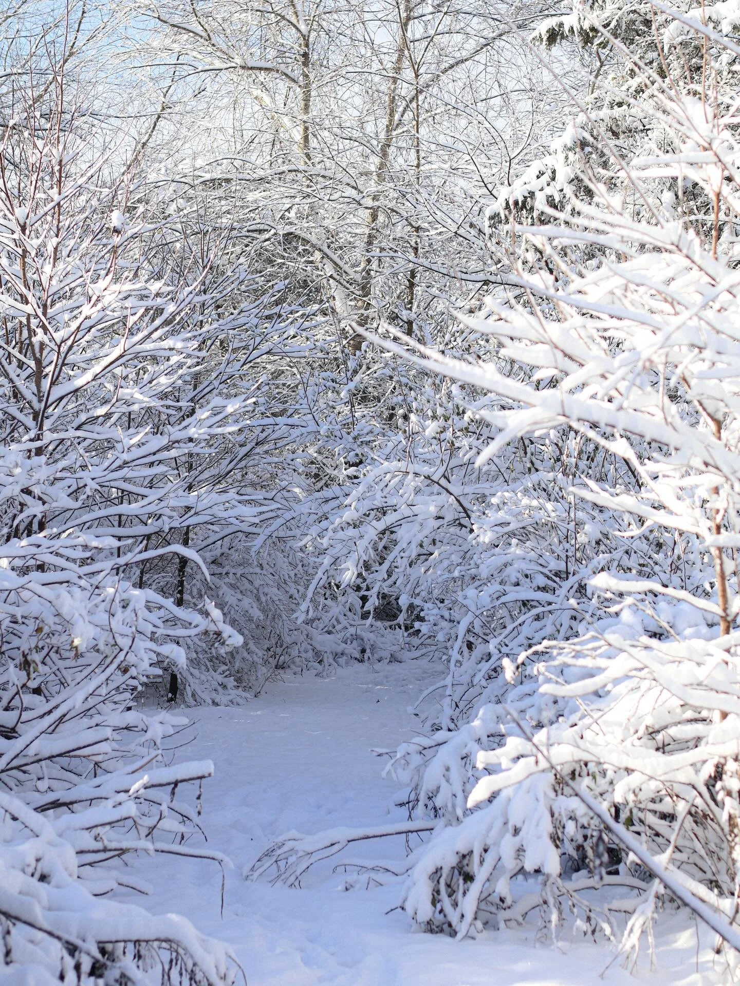 Winter, while dark, cold, snowy, and sometimes unpredictable with weather has always brought such clarity to me. There&rsquo;s nowhere to go but towards the truth in winter. 🪾

My own past calendars reveal years of personal honesty in these months. 