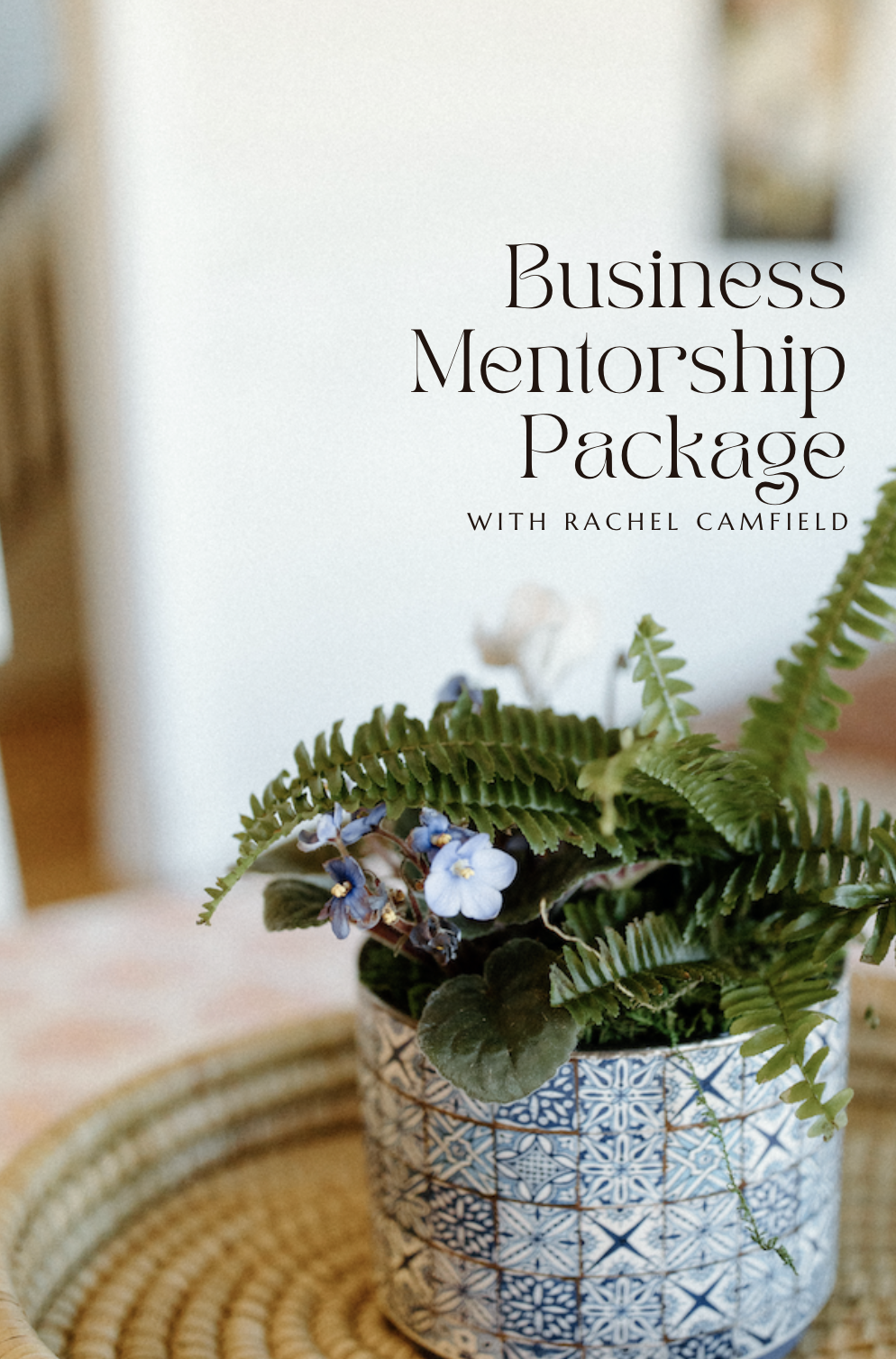 Business Mentorship Package